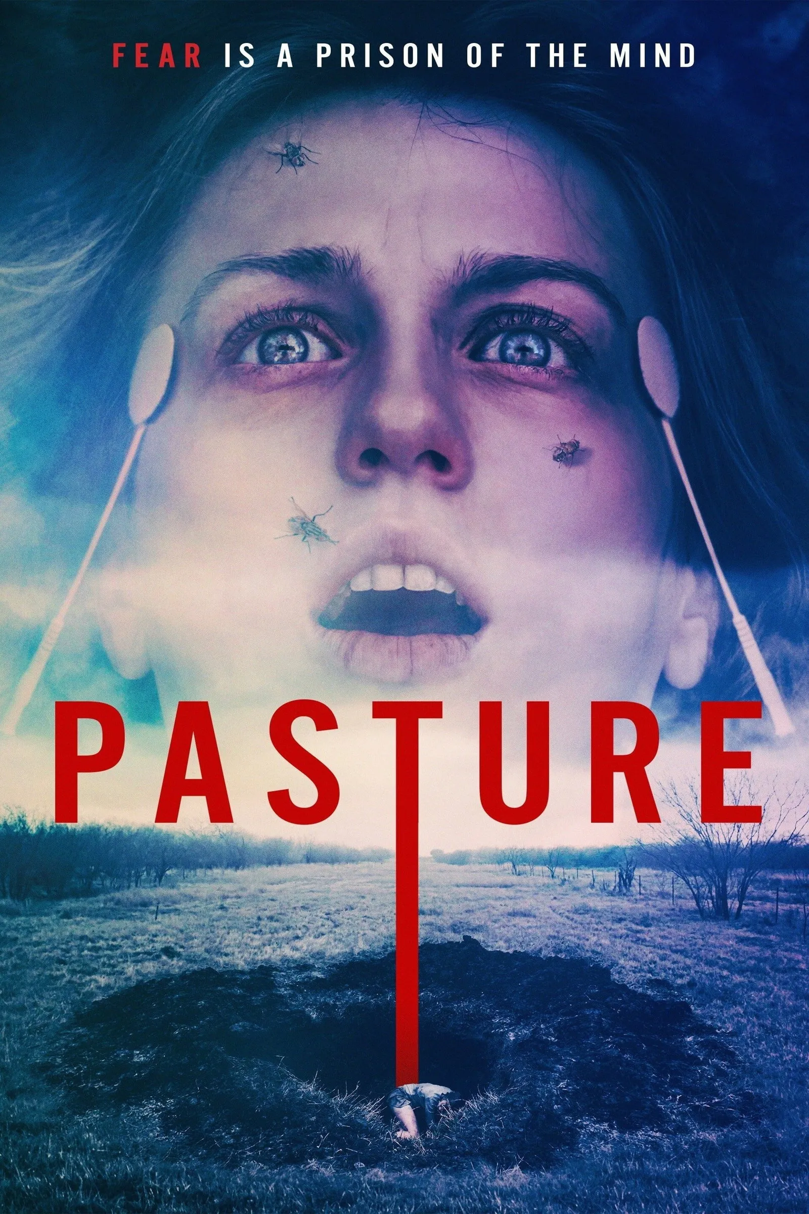 ภาพยนตร์ Pasture ซับไทย ครบทุกตอน ดูฟรี HD