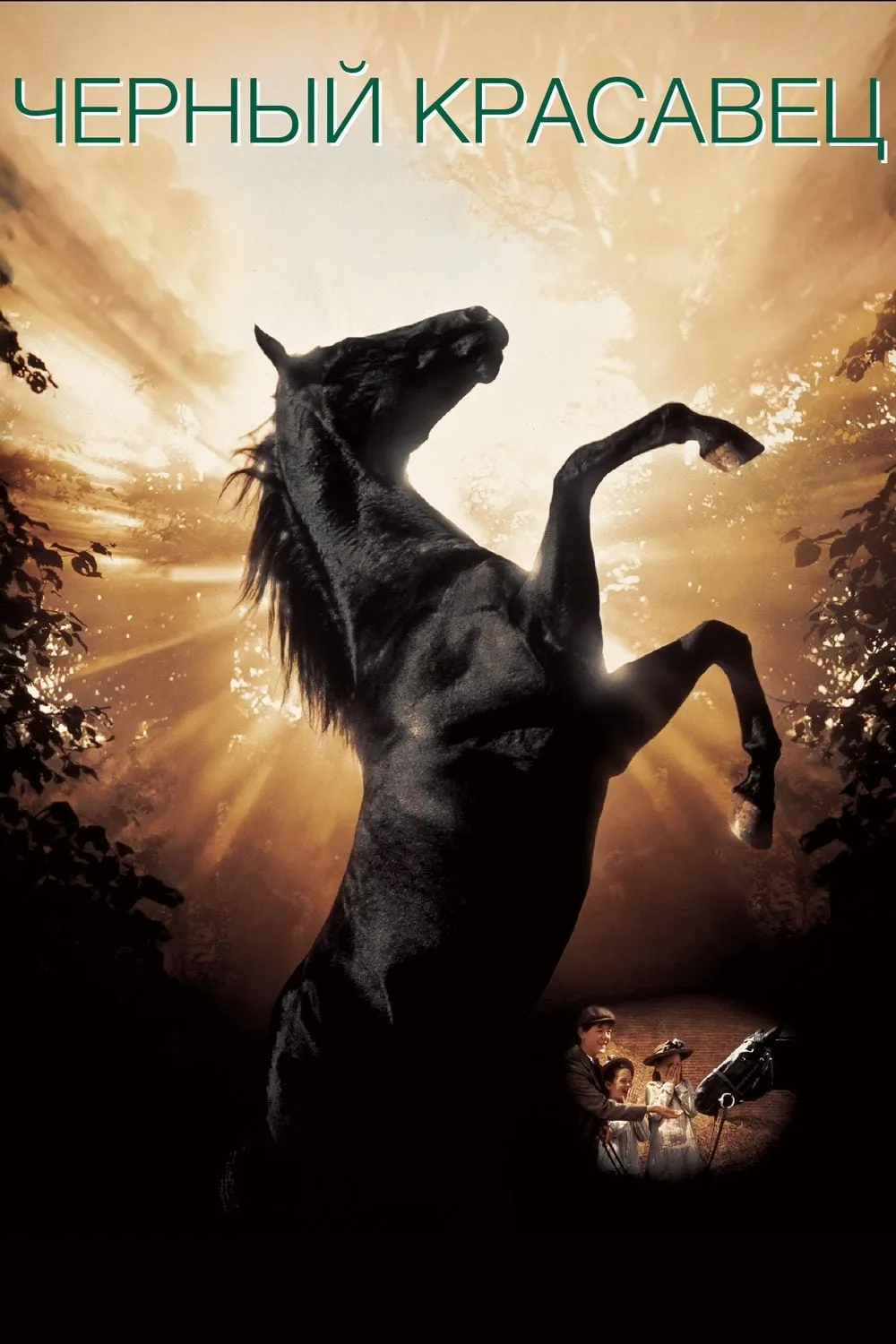 ภาพยนตร์ Black Beauty ซับไทย ครบทุกตอน ดูฟรี HD