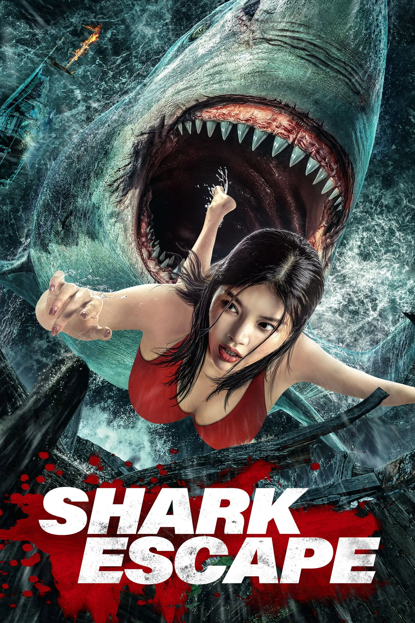 ภาพยนตร์ โคตรฉลามคลั่ง ซับไทย ครบทุกตอน ดูฟรี HD