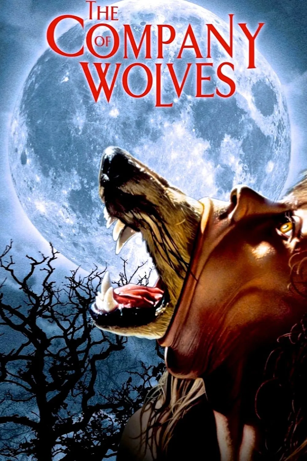 ภาพยนตร์ The Company of Wolves ซับไทย ครบทุกตอน ดูฟรี HD