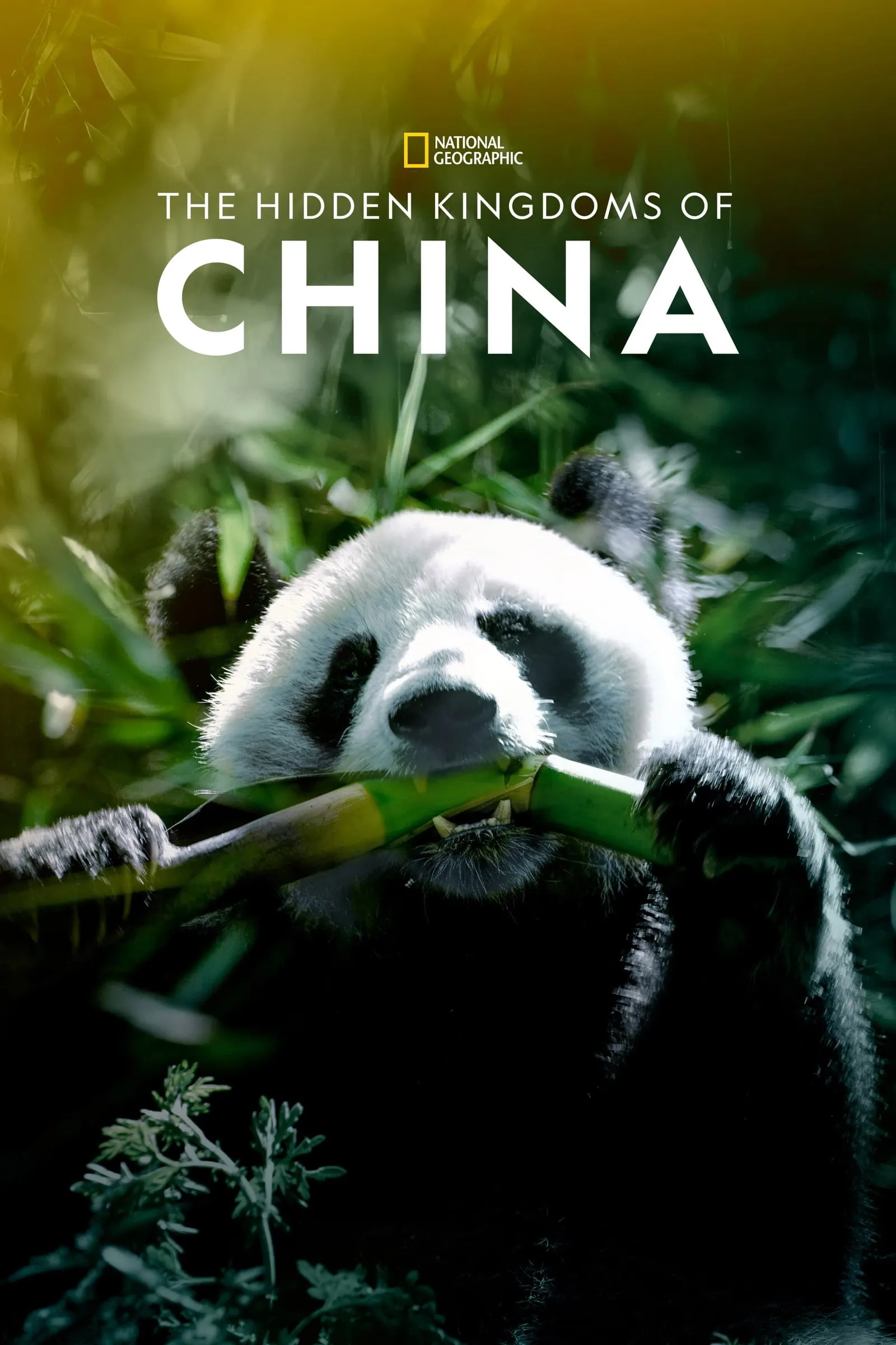 ภาพยนตร์ The Hidden Kingdoms of China ซับไทย ครบทุกตอน ดูฟรี HD