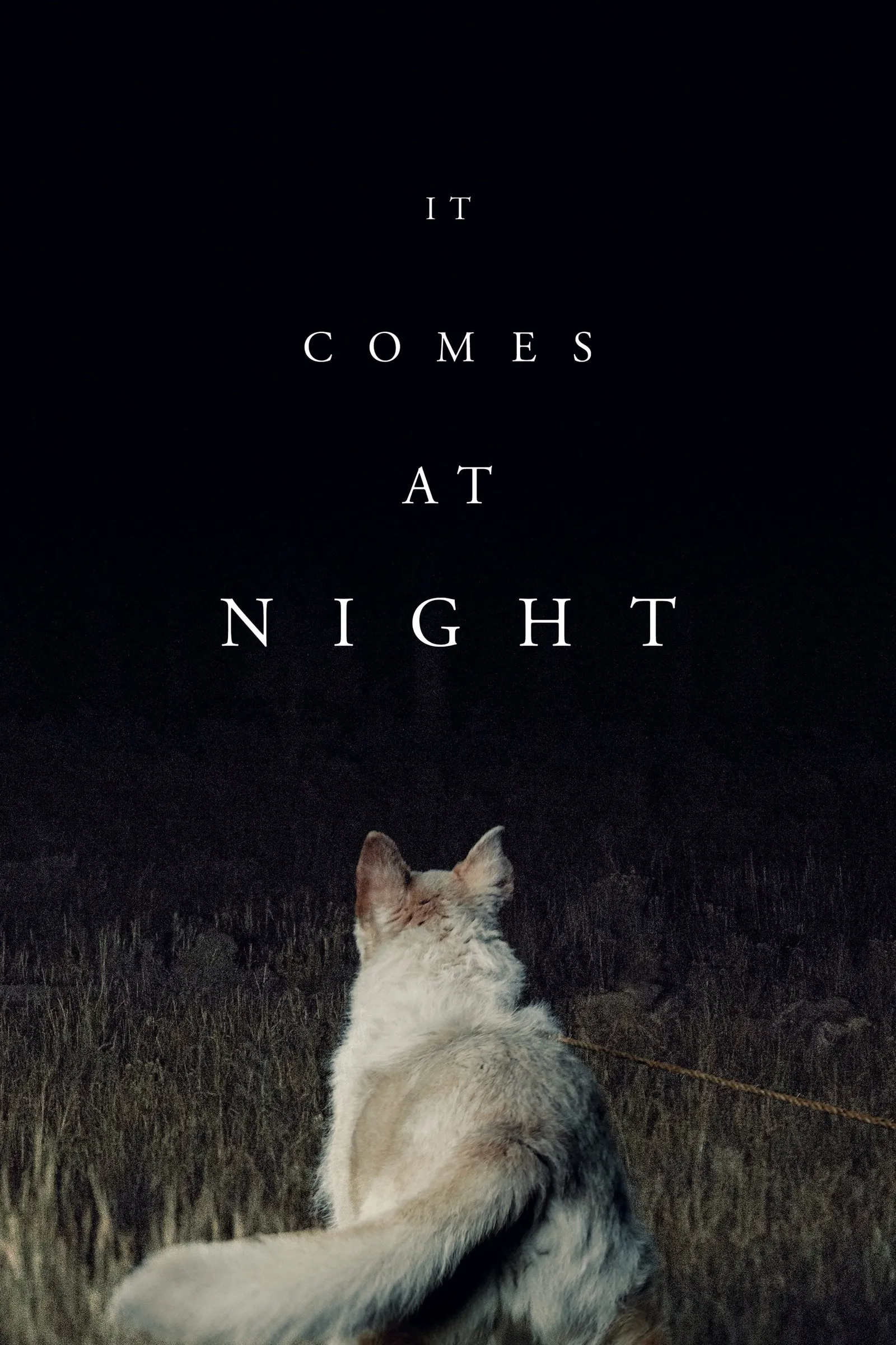ภาพยนตร์ It Comes at Night ซับไทย ครบทุกตอน ดูฟรี HD