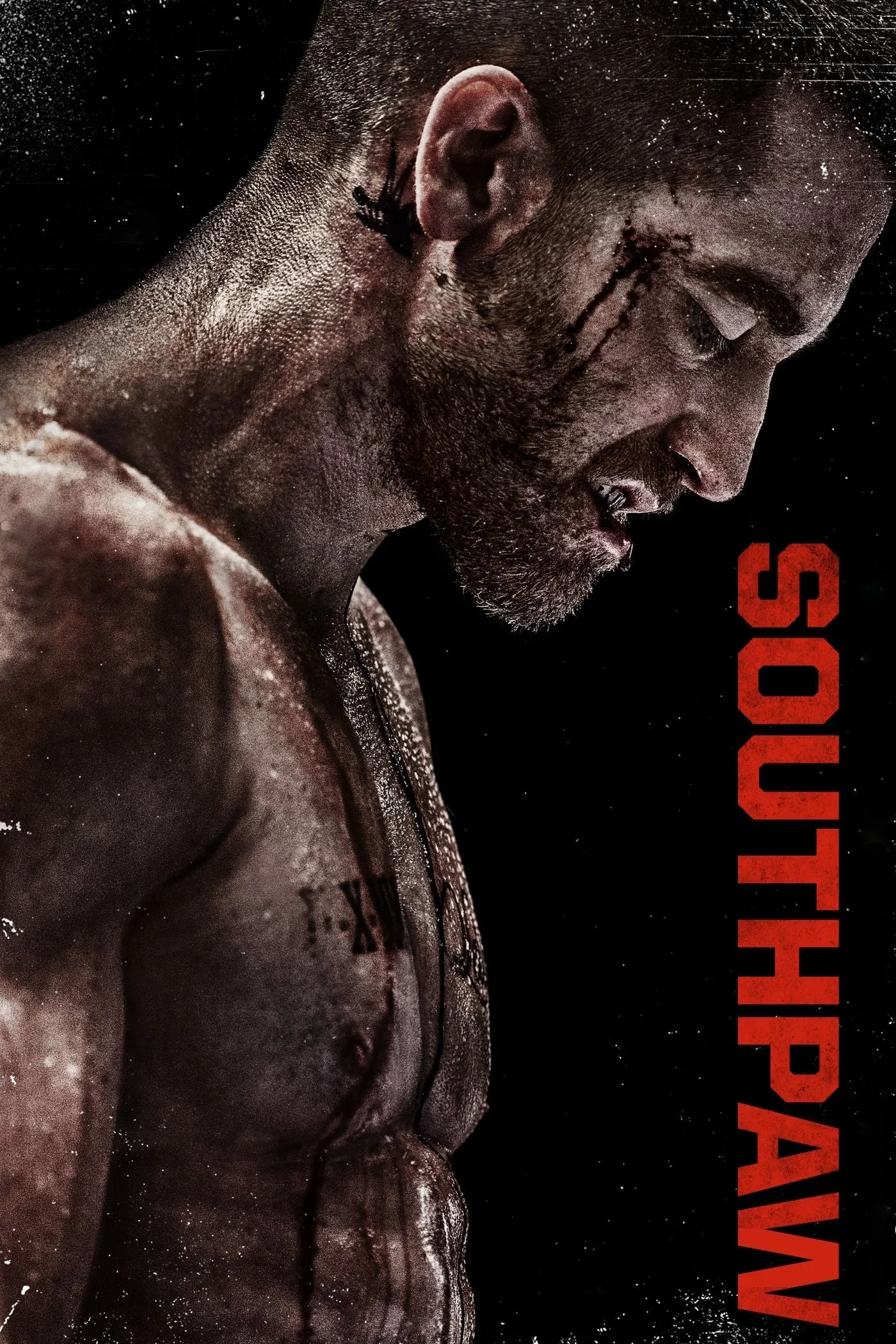 ภาพยนตร์ เซาท์พาว สังเวียนเดือด ซับไทย ครบทุกตอน ดูฟรี HD