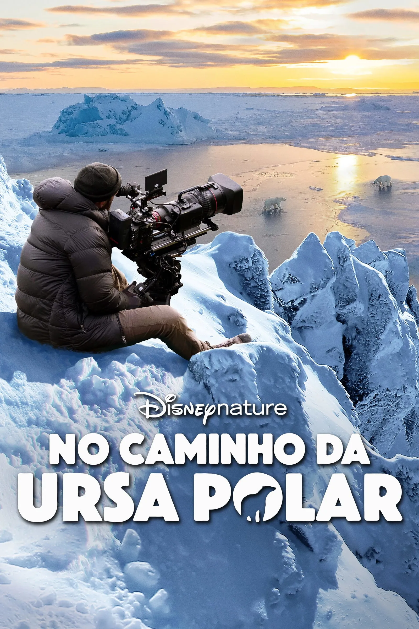 ภาพยนตร์ Bear Witness ซับไทย ครบทุกตอน ดูฟรี HD
