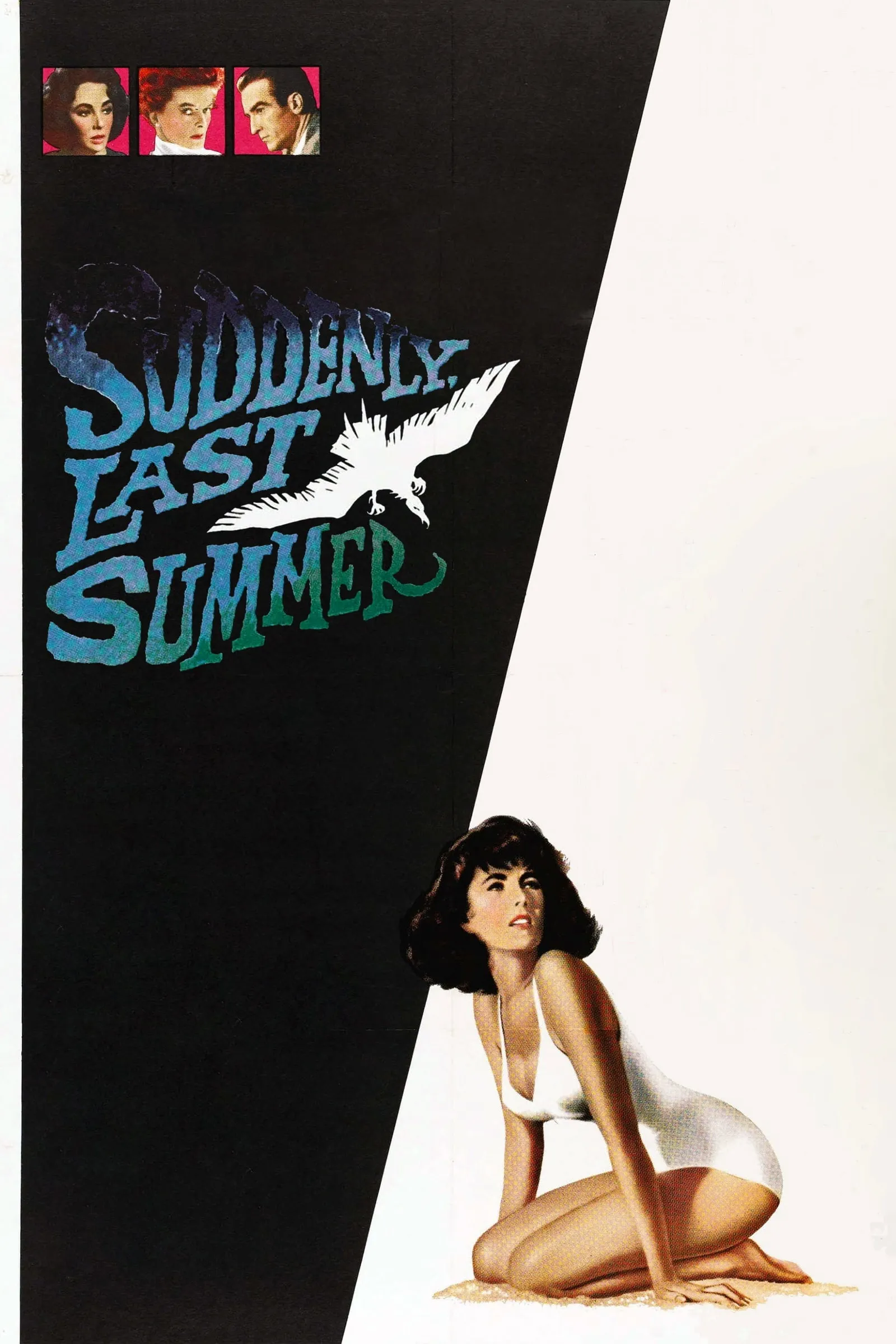 ภาพยนตร์ Suddenly, Last Summer ซับไทย ครบทุกตอน ดูฟรี HD