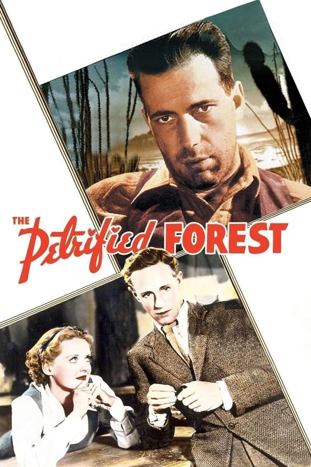 ภาพยนตร์ The Petrified Forest ซับไทย ครบทุกตอน ดูฟรี HD