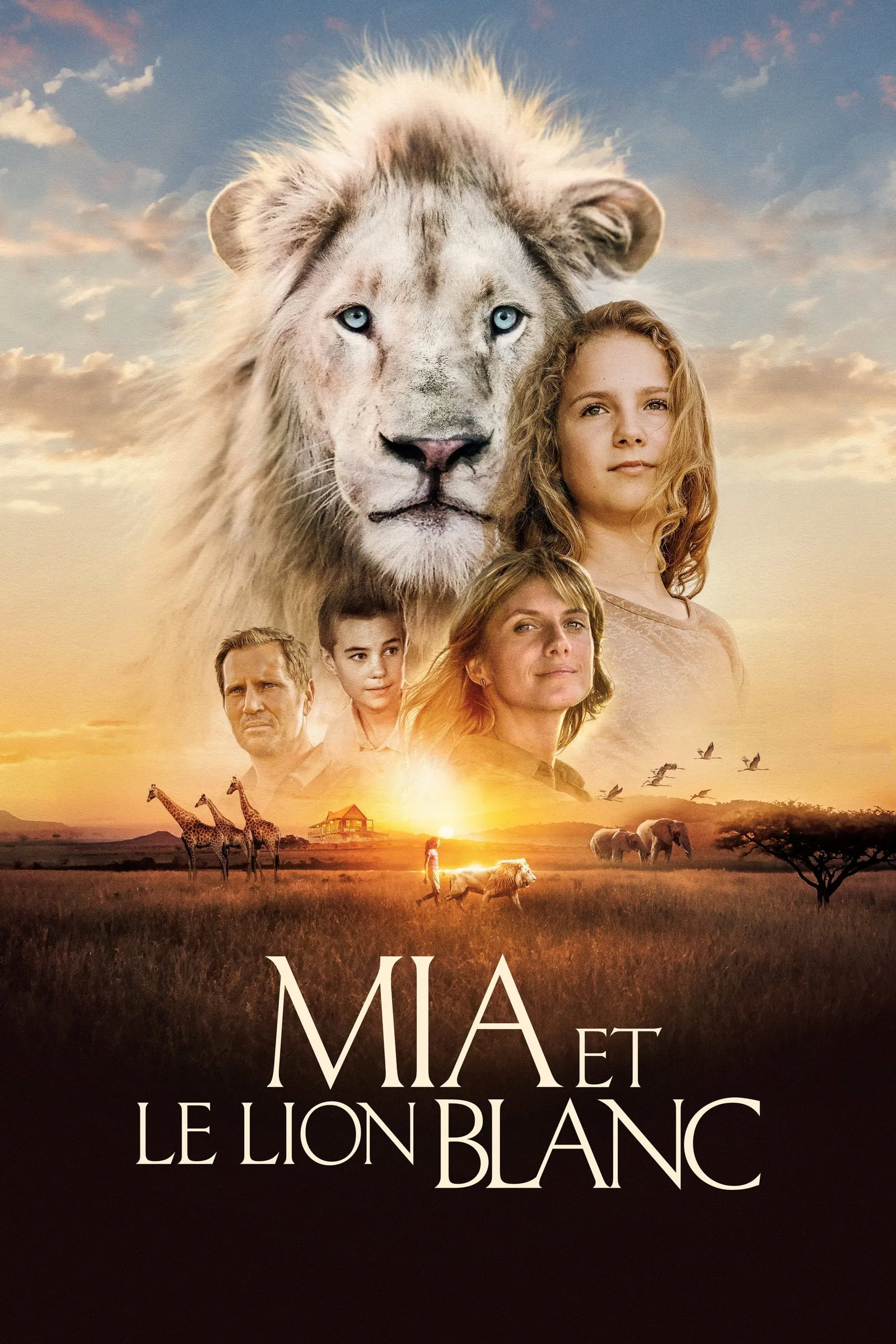 ภาพยนตร์ มีอากับมิตรภาพมหัศจรรย์ ซับไทย ครบทุกตอน ดูฟรี HD