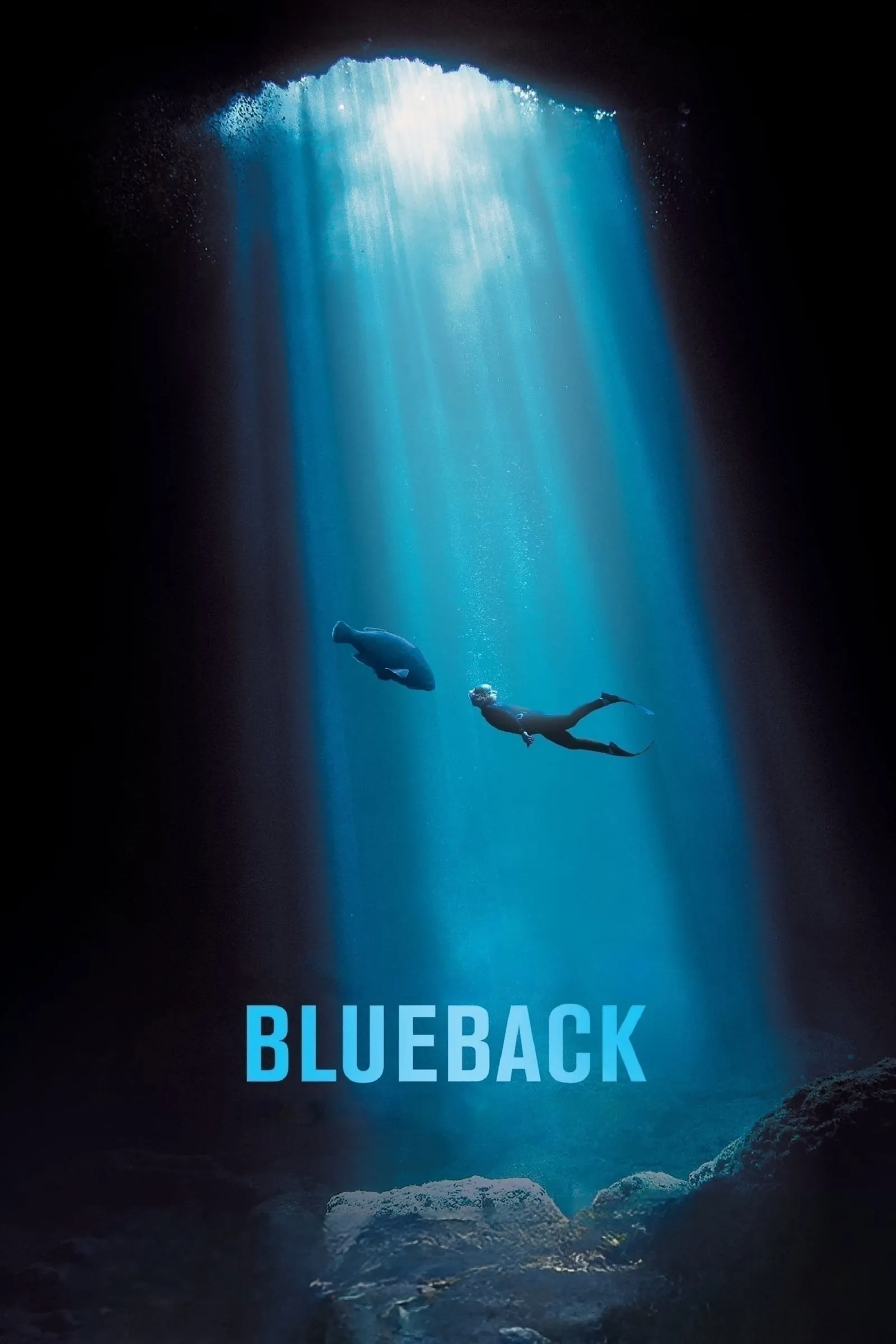 ภาพยนตร์ Blueback ซับไทย ครบทุกตอน ดูฟรี HD