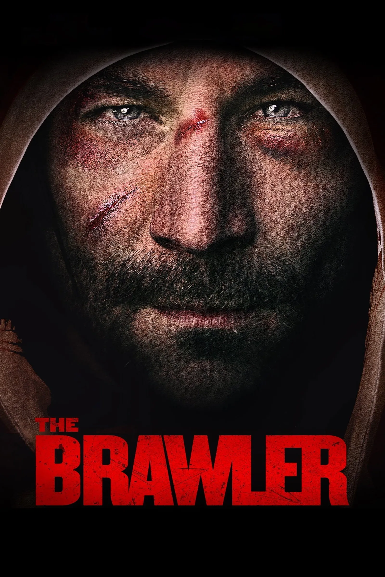 ภาพยนตร์ The Brawler ซับไทย ครบทุกตอน ดูฟรี HD