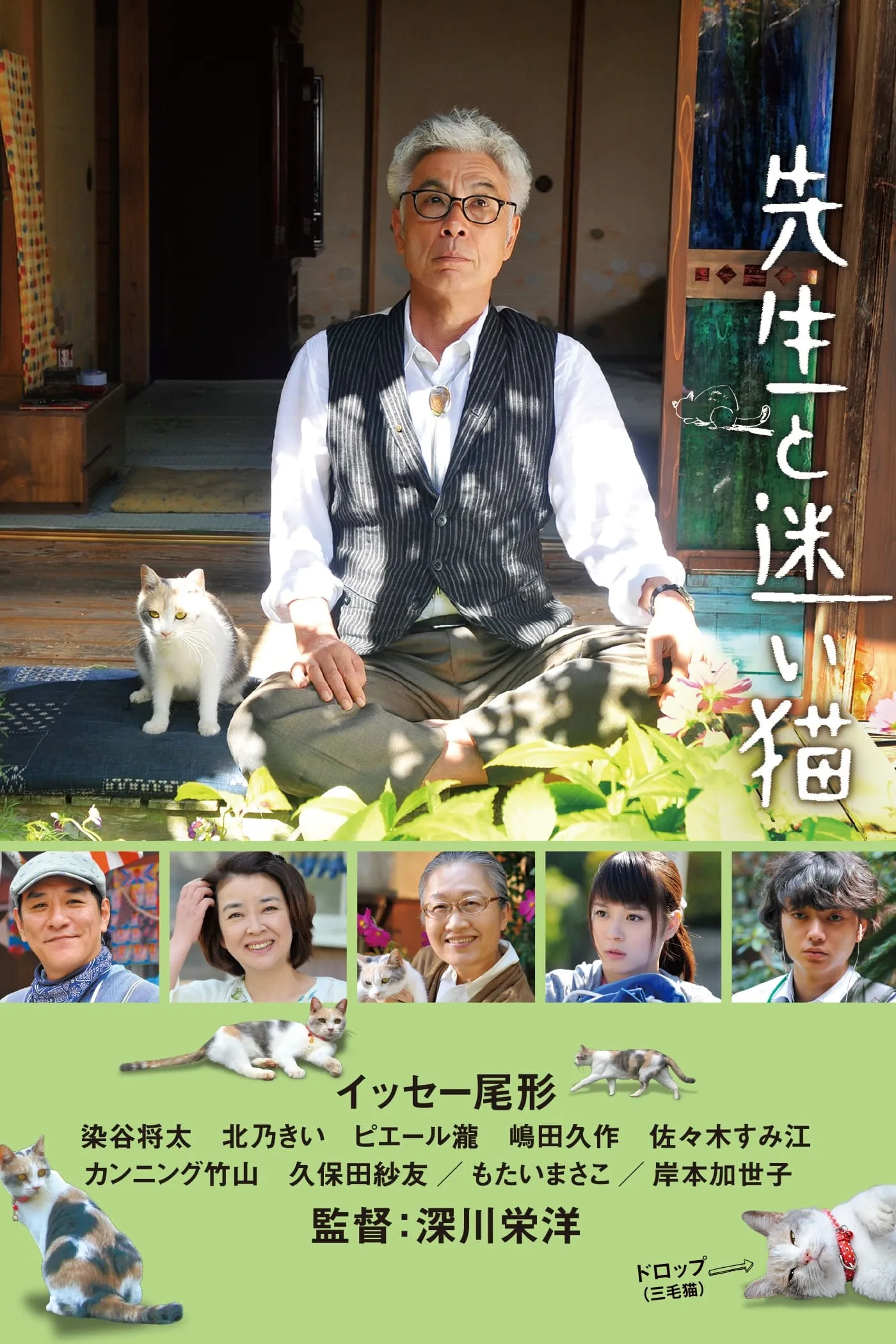 ภาพยนตร์ กลับบ้านเถอะนะเจ้าเหมียว ซับไทย ครบทุกตอน ดูฟรี HD