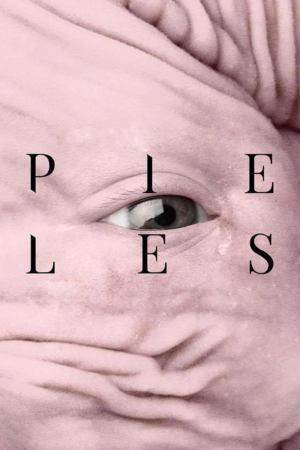ภาพยนตร์ Pieles ซับไทย ครบทุกตอน ดูฟรี HD
