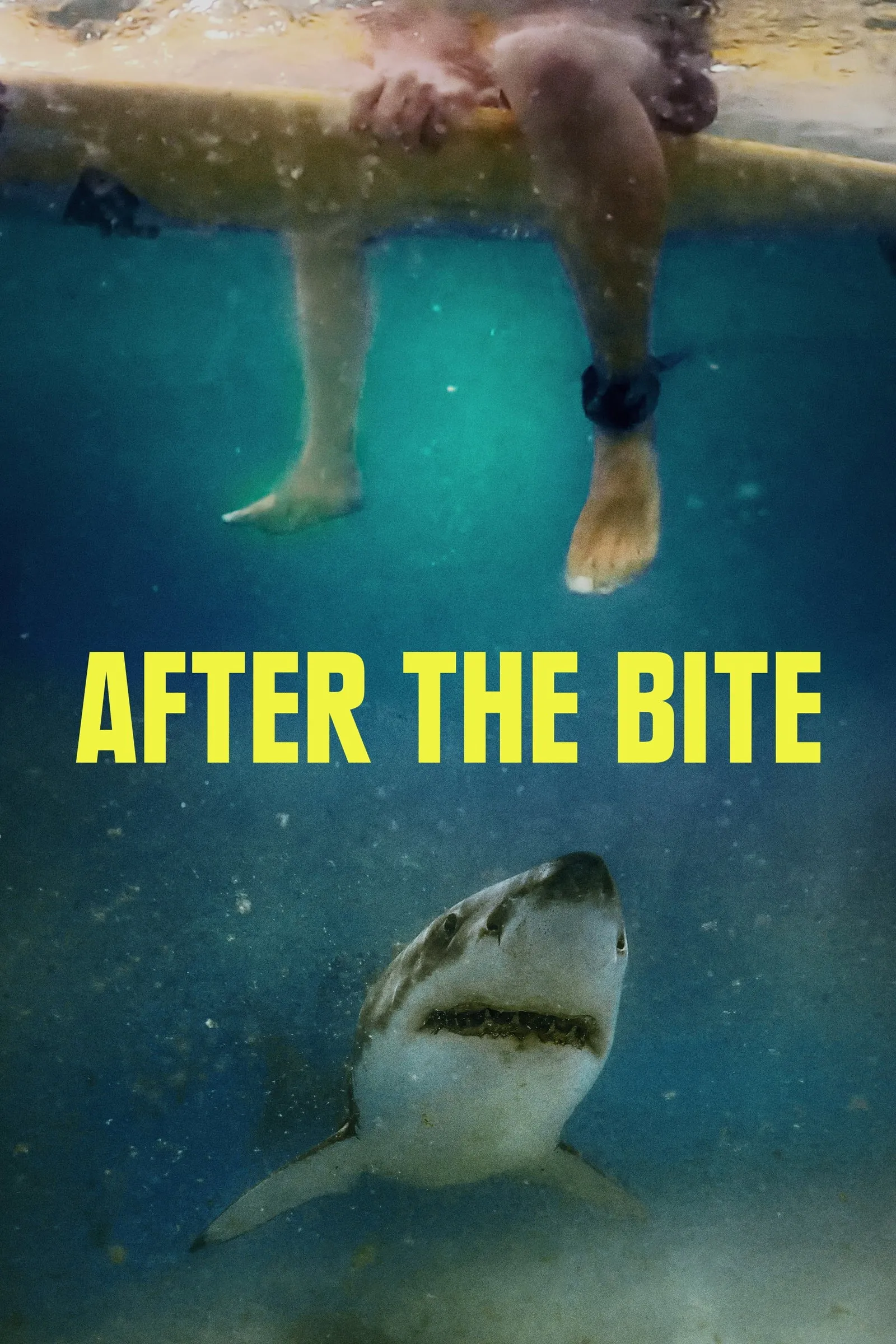 ภาพยนตร์ After the Bite ซับไทย ครบทุกตอน ดูฟรี HD
