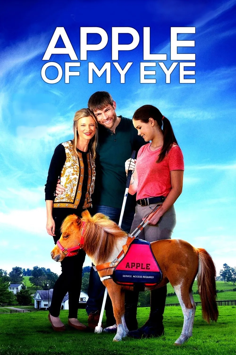 ภาพยนตร์ Apple of My Eye ซับไทย ครบทุกตอน ดูฟรี HD