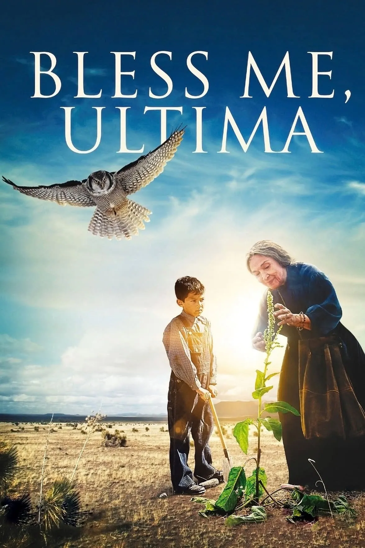 ภาพยนตร์ คุณยายปาฏิหาริย์ ซับไทย ครบทุกตอน ดูฟรี HD