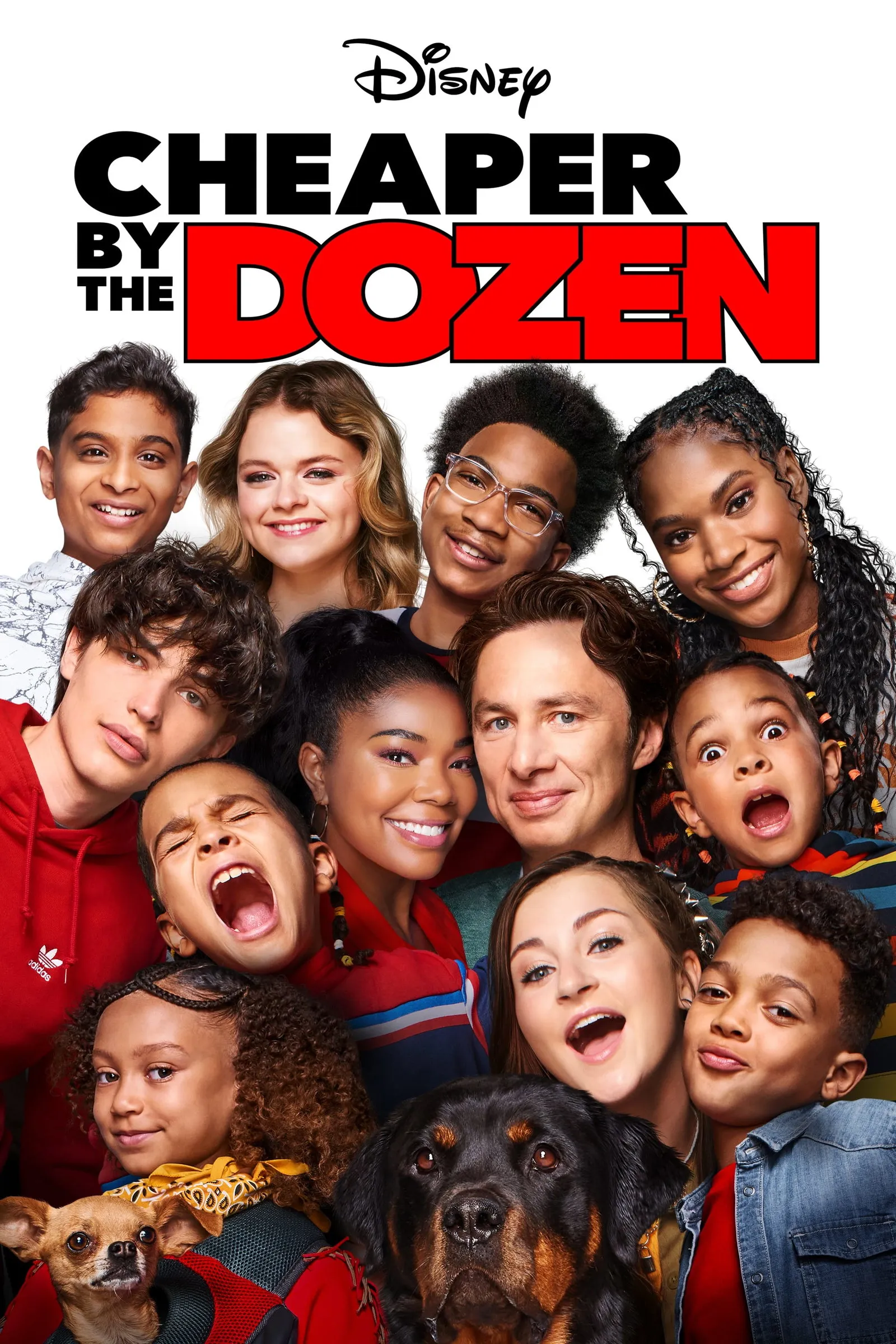 ภาพยนตร์ Cheaper by the Dozen ซับไทย ครบทุกตอน ดูฟรี HD