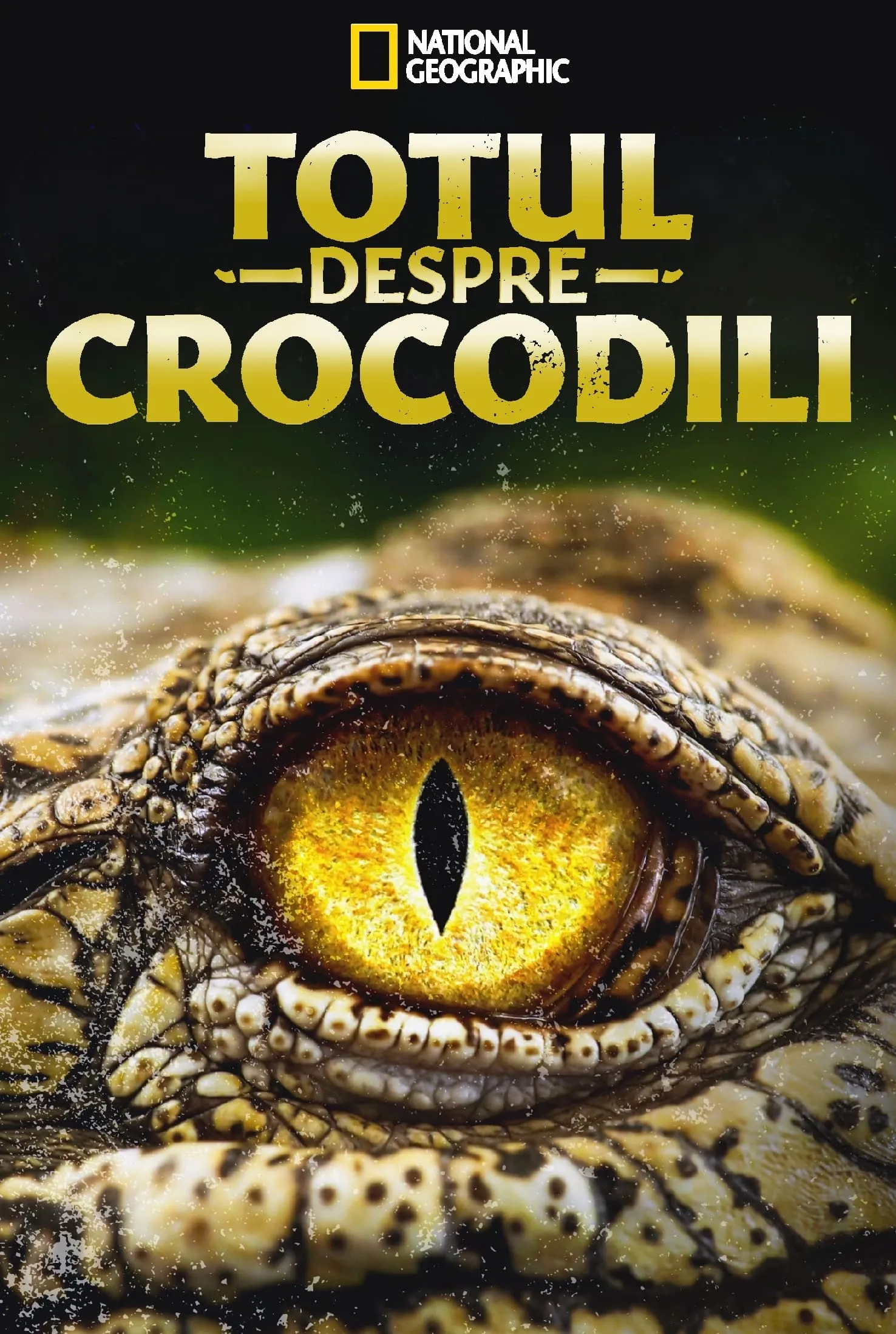 ภาพยนตร์ Crocodiles Revealed ซับไทย ครบทุกตอน ดูฟรี HD