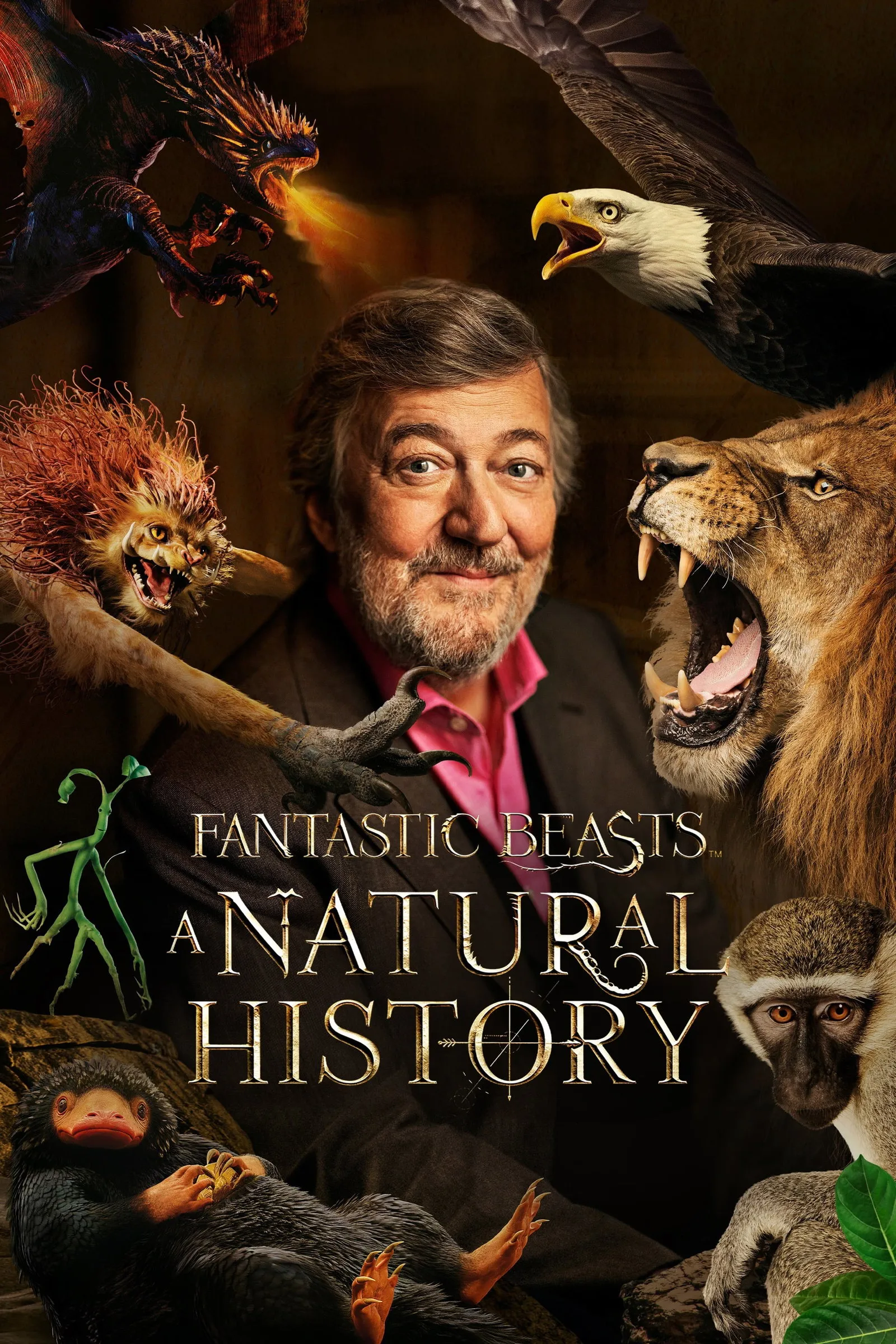 ภาพยนตร์ Fantastic Beasts: A Natural History ซับไทย ครบทุกตอน ดูฟรี HD