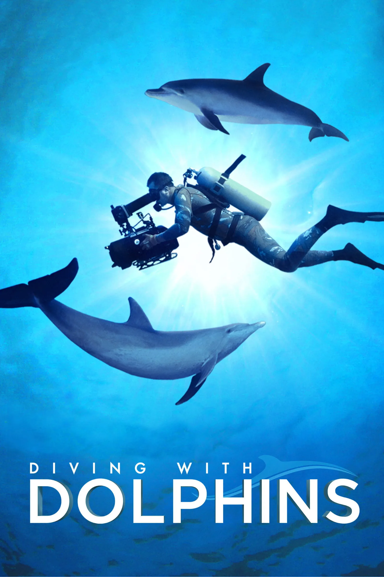 ภาพยนตร์ Diving with Dolphins ซับไทย ครบทุกตอน ดูฟรี HD