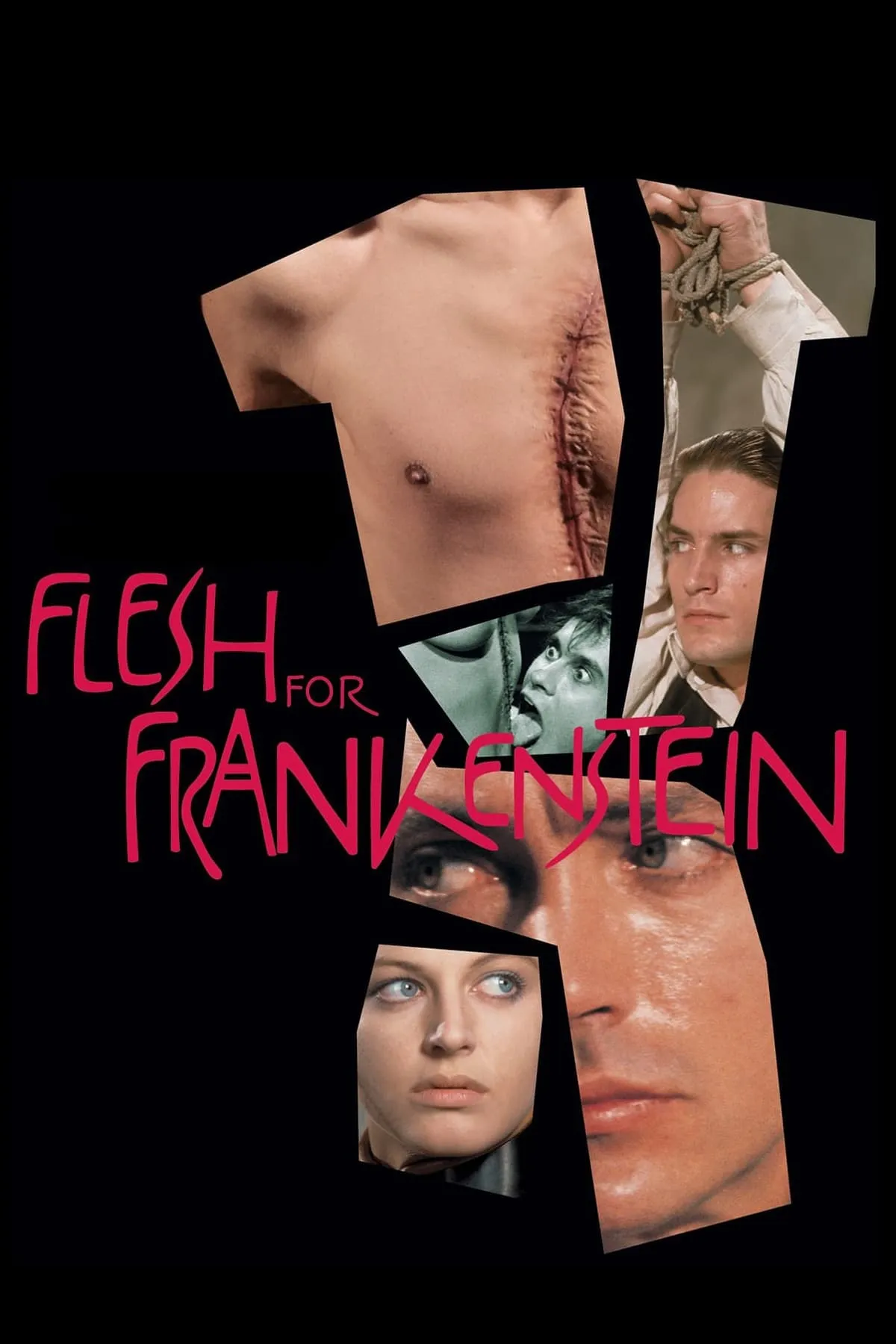 ภาพยนตร์ Flesh for Frankenstein ซับไทย ครบทุกตอน ดูฟรี HD