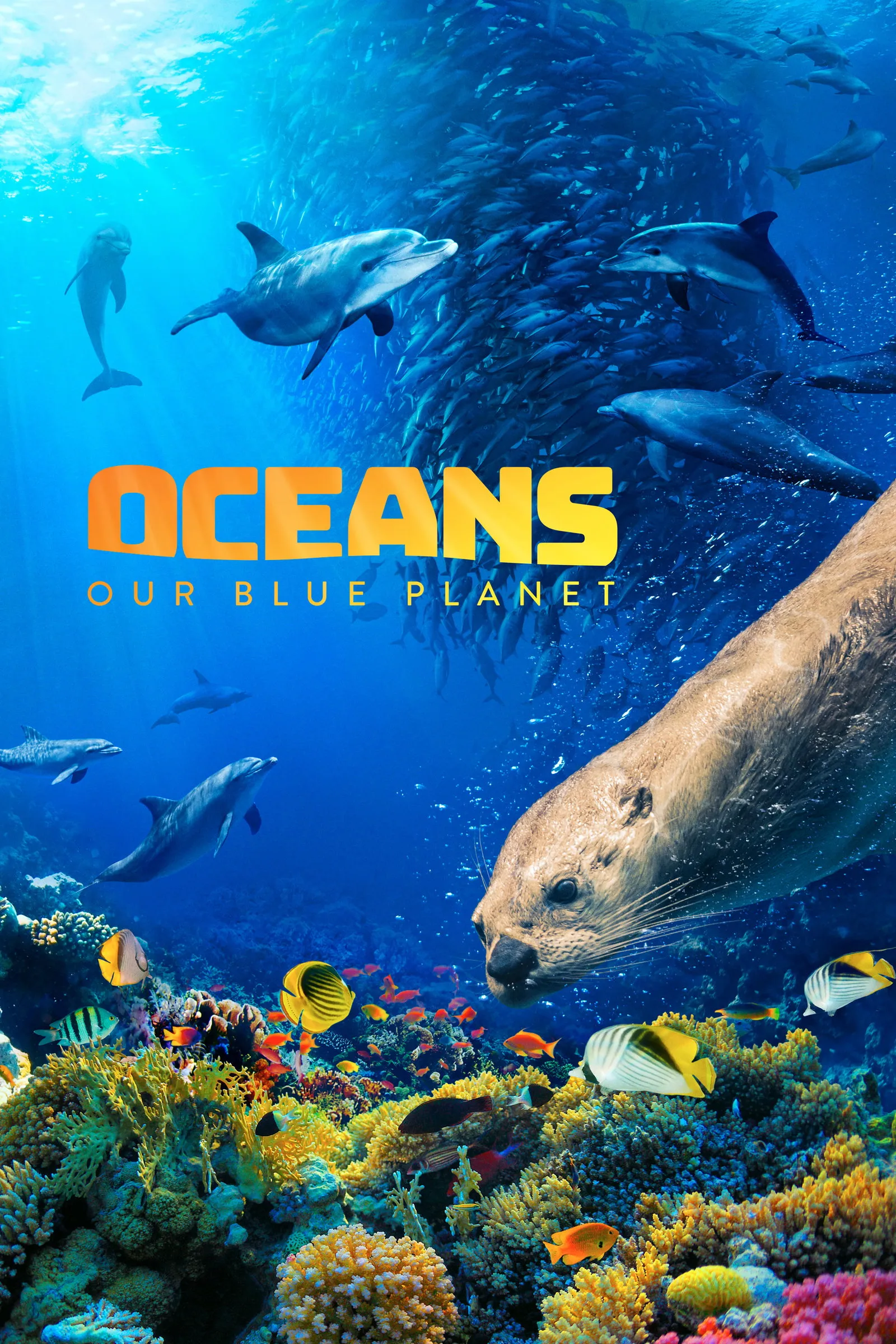 ภาพยนตร์ Oceans: Our Blue Planet ซับไทย ครบทุกตอน ดูฟรี HD