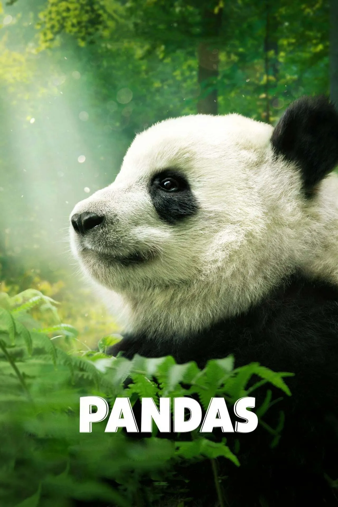 ภาพยนตร์ Pandas ซับไทย ครบทุกตอน คมชัด HD