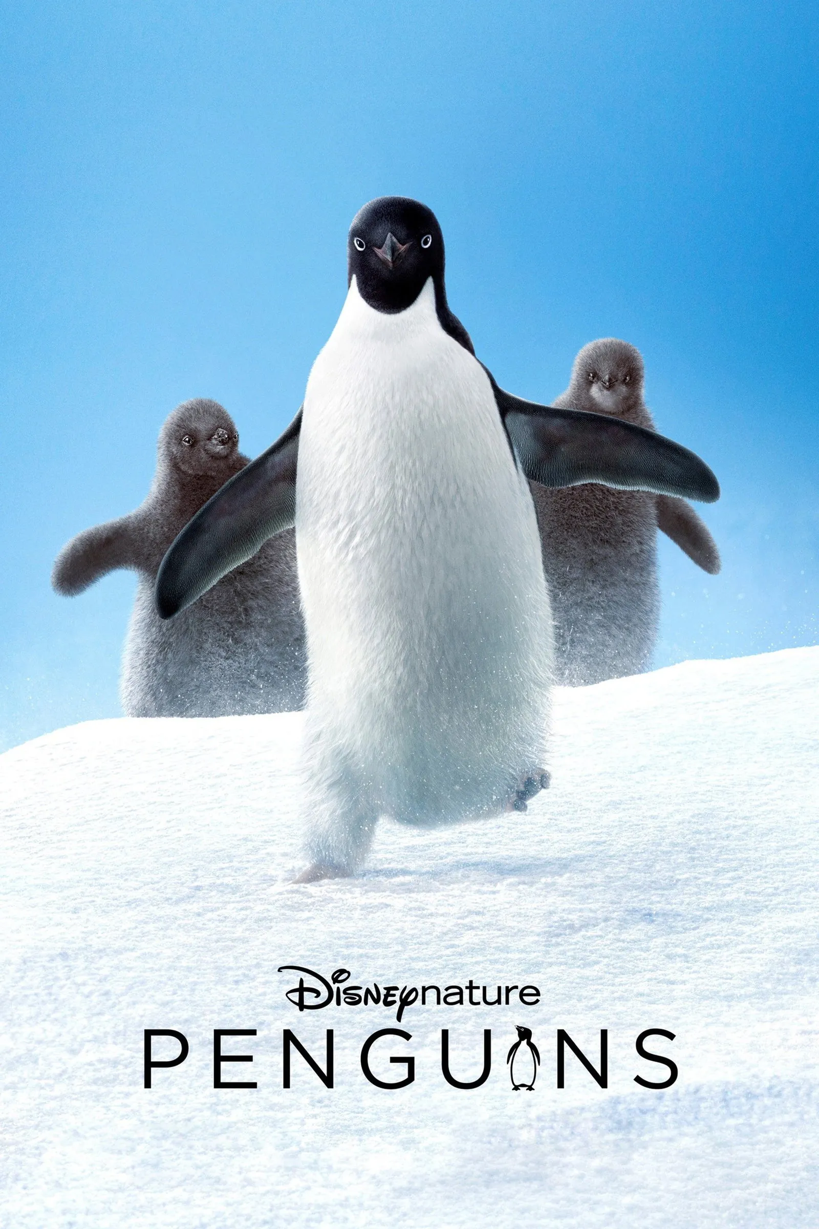 ภาพยนตร์ Penguins ซับไทย ครบทุกตอน คมชัด HD