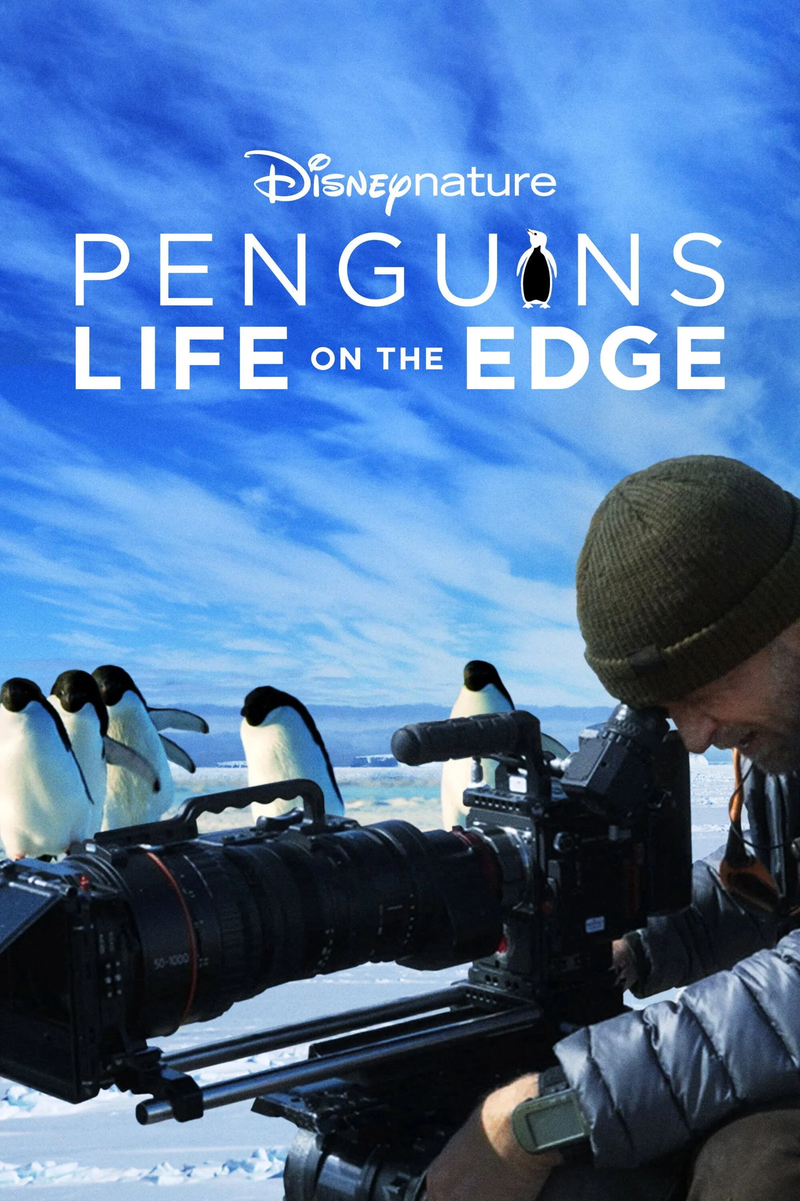ภาพยนตร์ Penguins: Life on the Edge ซับไทย ครบทุกตอน ดูฟรี HD