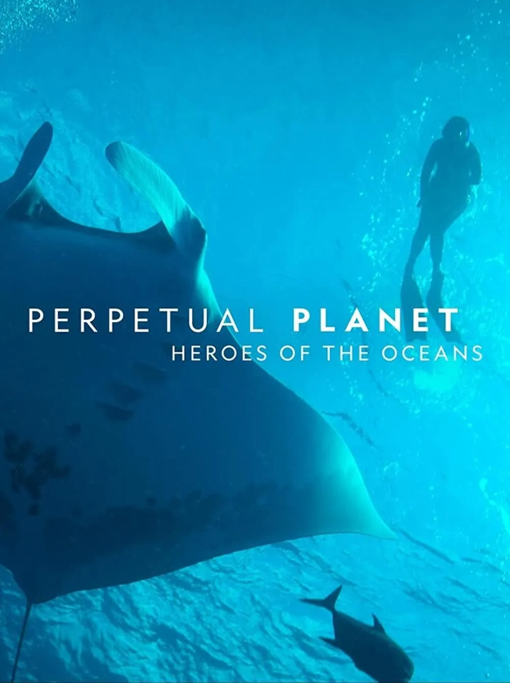ภาพยนตร์ Perpetual Planet: Heroes of the Oceans ซับไทย ครบทุกตอน ดูฟรี HD