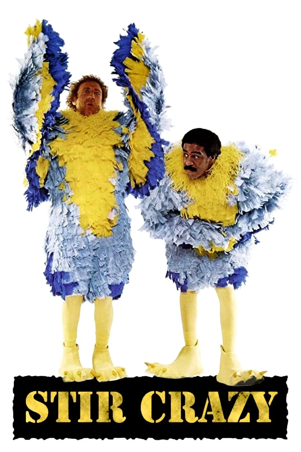 ภาพยนตร์ Stir Crazy ซับไทย ครบทุกตอน ดูฟรี HD
