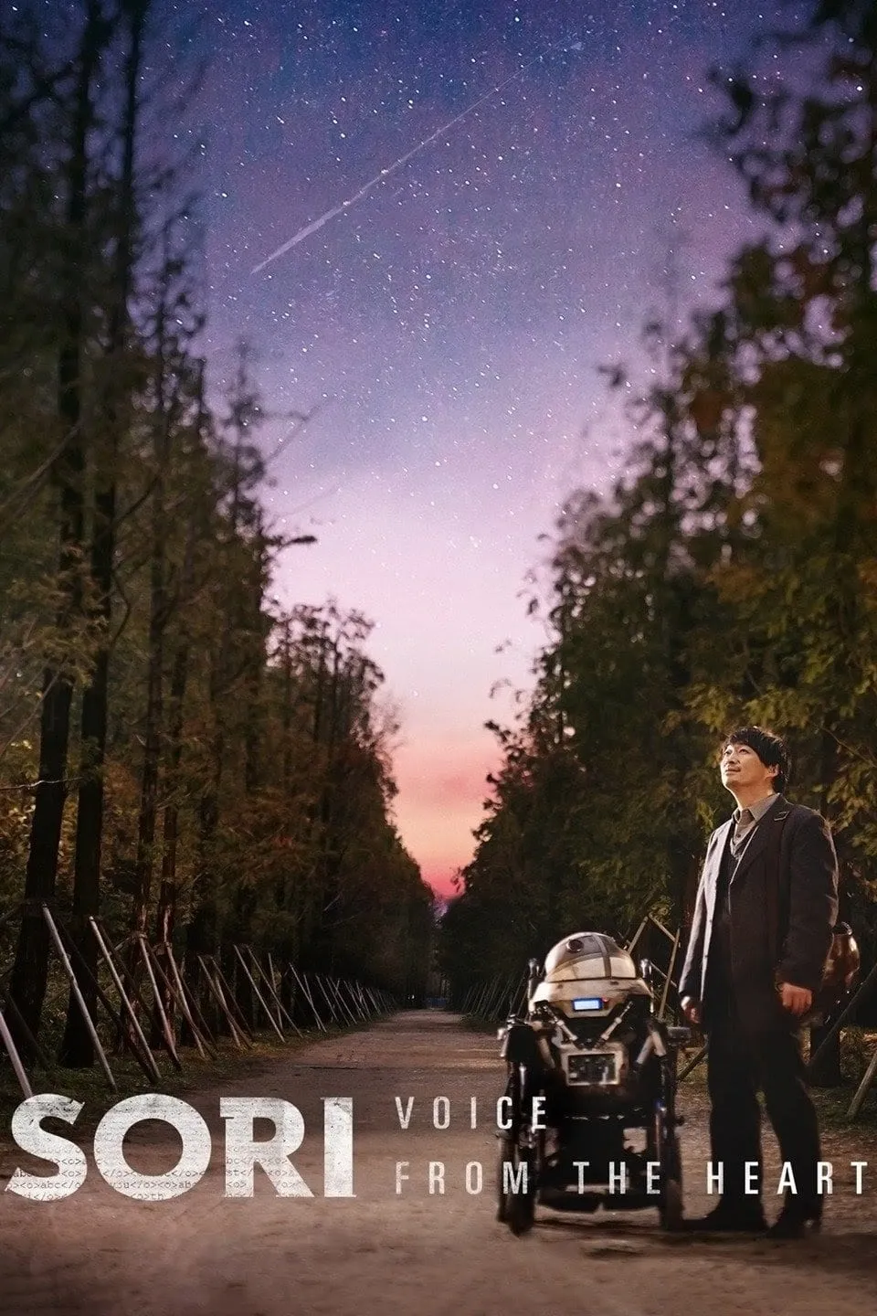 ภาพยนตร์ โซรี: เสียงเรียกจากหัวใจ ซับไทย ครบทุกตอน ดูฟรี HD