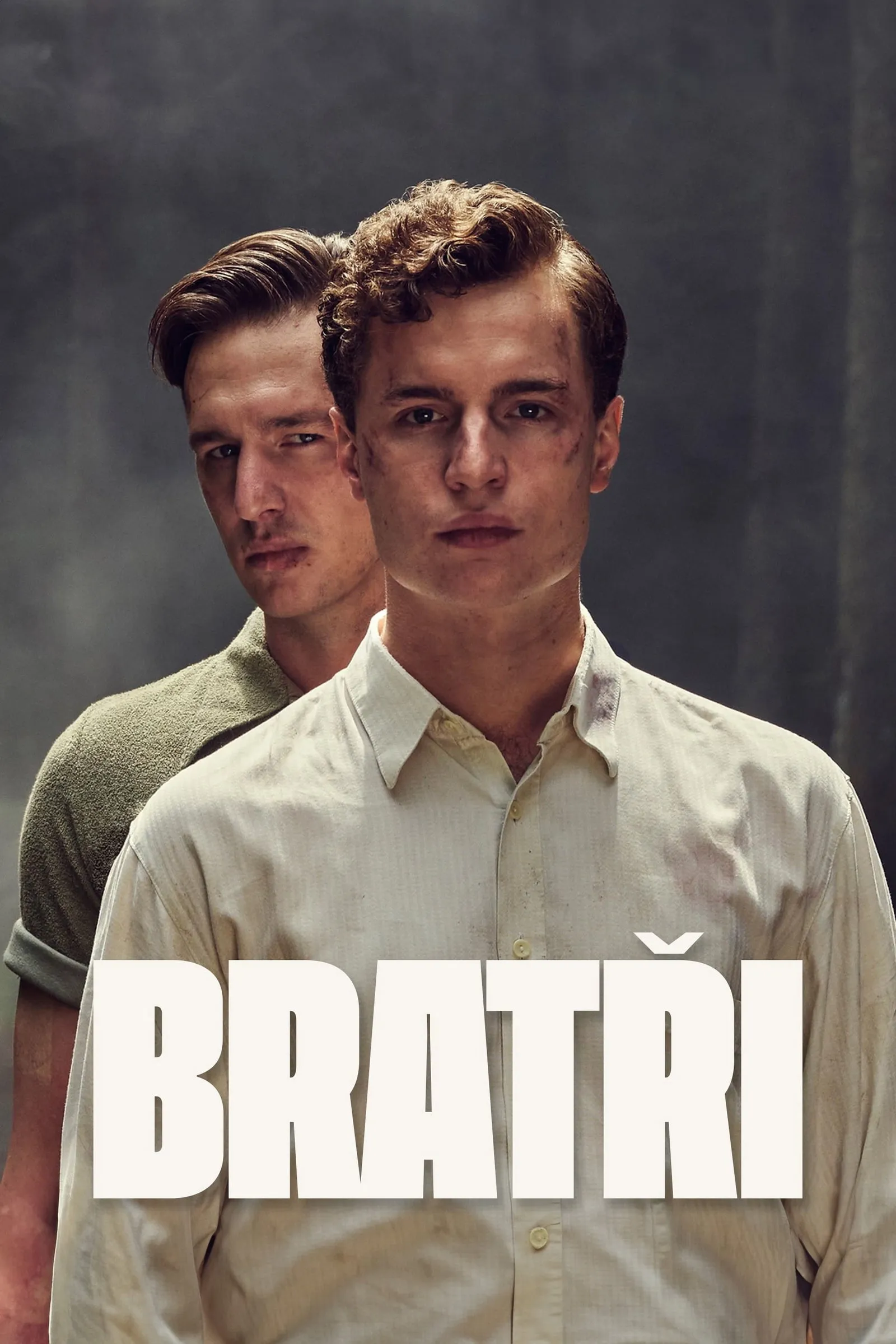 ภาพยนตร์ อาชญากรพี่น้องเขย่าชาติ ซับไทย ครบทุกตอน ดูฟรี HD