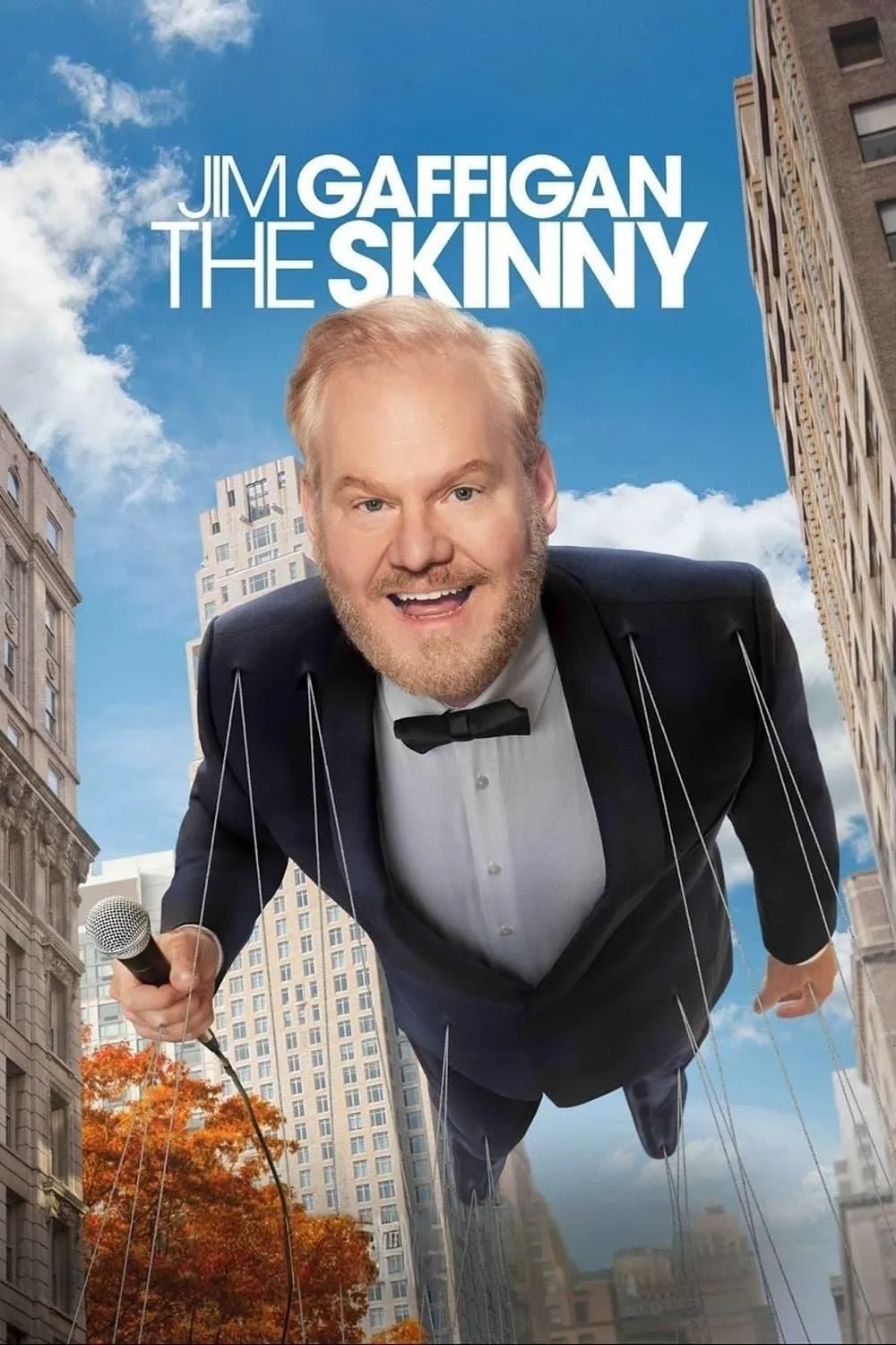 ภาพยนตร์ Jim Gaffigan: The Skinny ซับไทย ครบทุกตอน ดูฟรี HD
