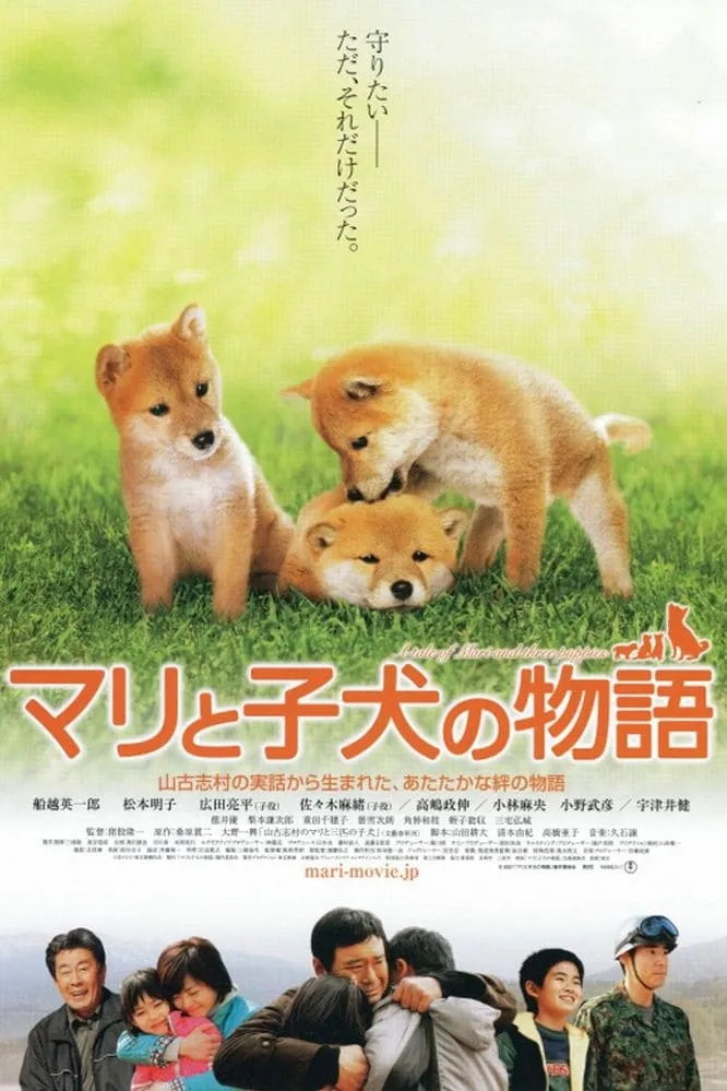 ภาพยนตร์ เพื่อนซื่อ... ชื่อ มาริ ซับไทย ครบทุกตอน ดูฟรี HD