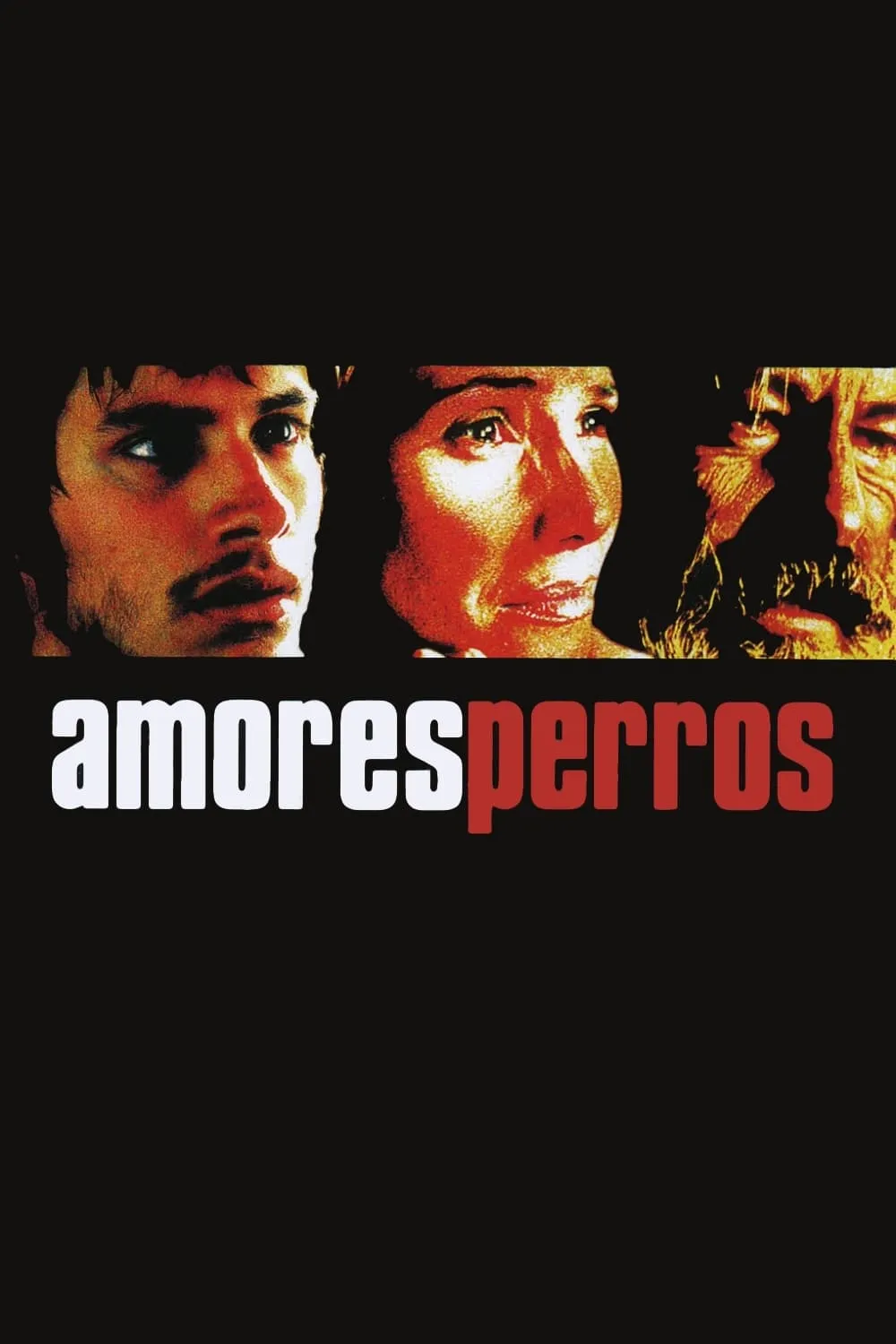 ภาพยนตร์ Amores perros ซับไทย ครบทุกตอน ดูฟรี HD