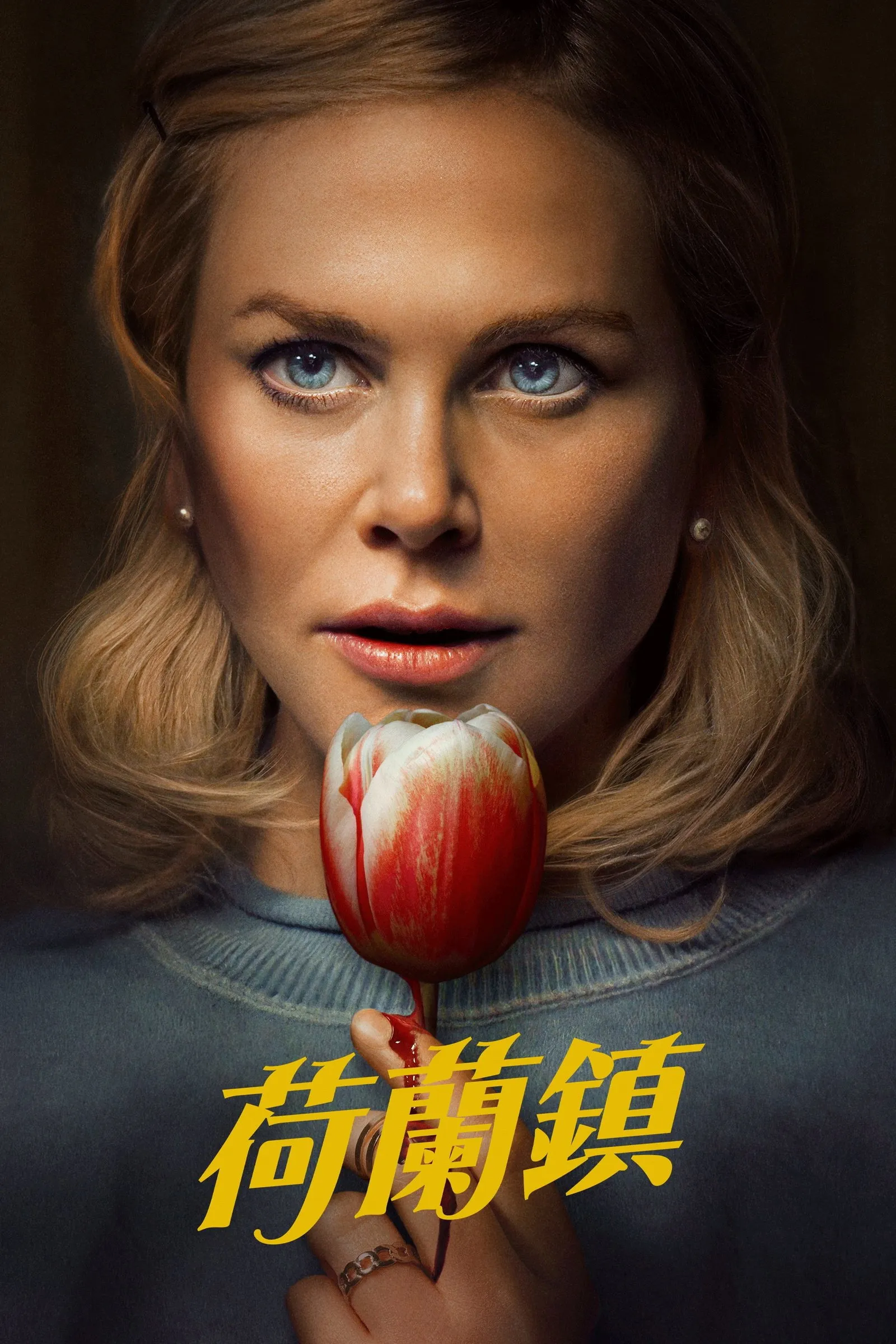ภาพยนตร์ ฮอลแลนด์ เมืองหลอนซ่อนความลับ ซับไทย ครบทุกตอน ดูฟรี HD