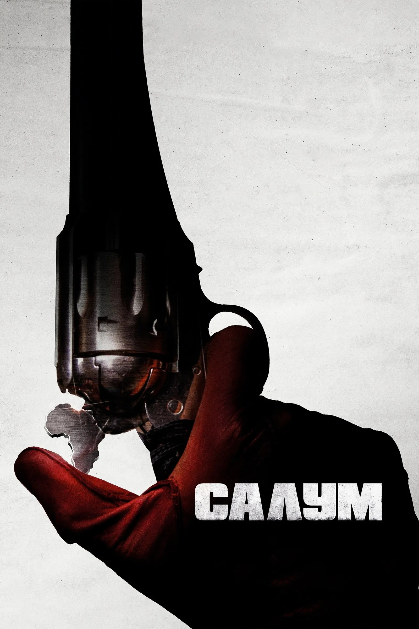 ภาพยนตร์ ซาลูม แค้นปลุกนรก ซับไทย ครบทุกตอน ดูฟรี HD