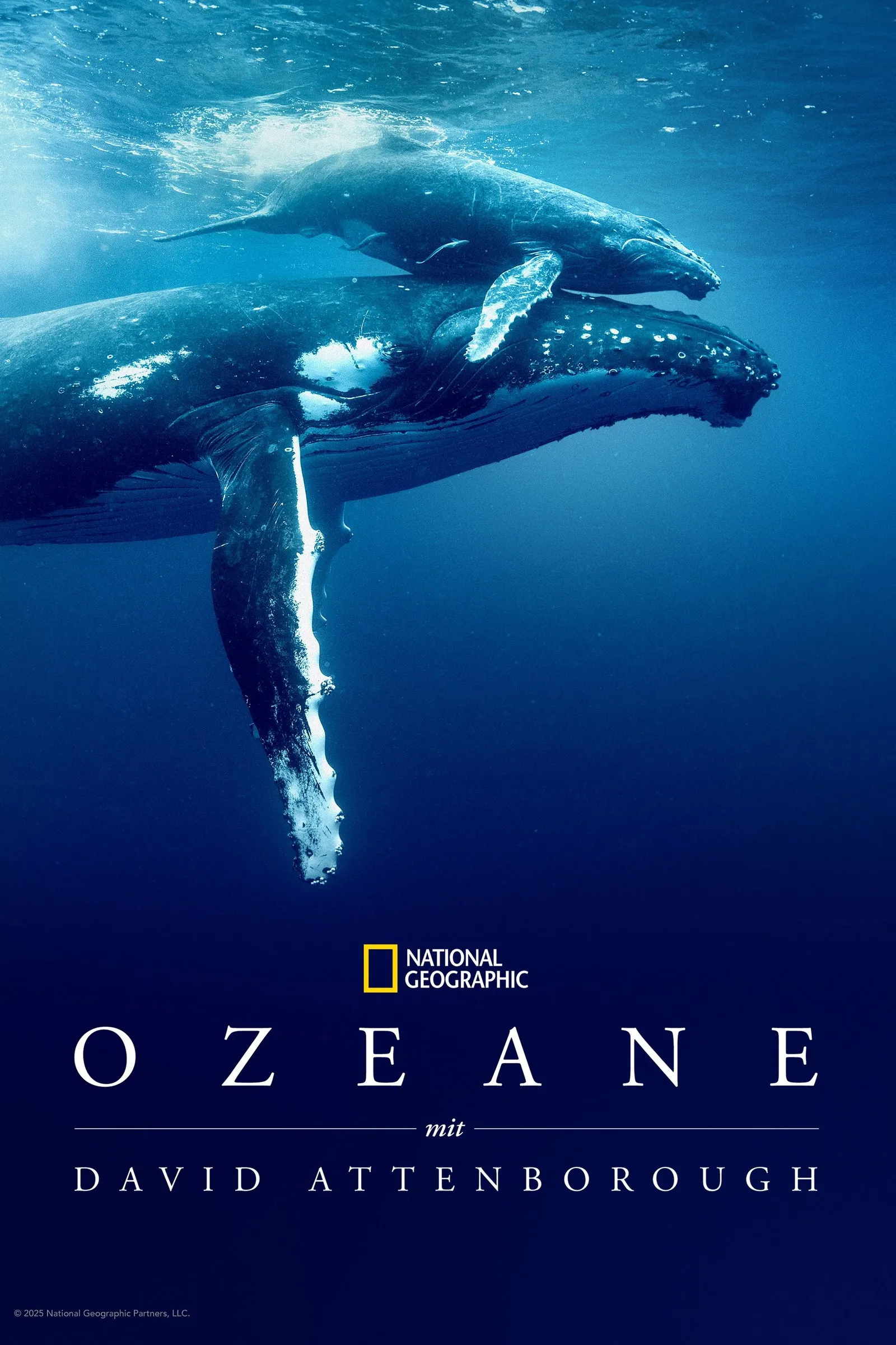 ภาพยนตร์ Ocean with David Attenborough ซับไทย ครบทุกตอน ดูฟรี HD