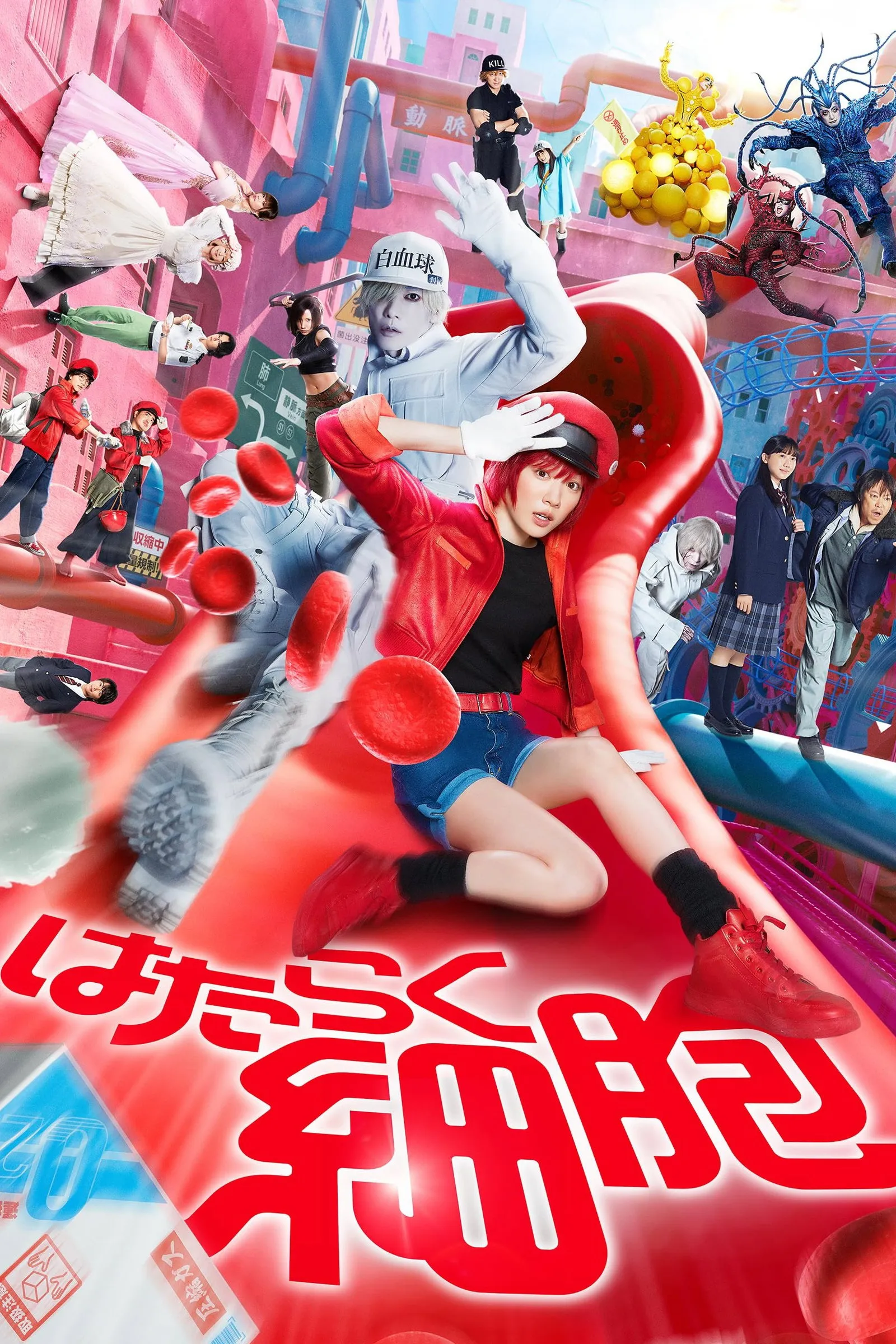 ภาพยนตร์ เซลล์ขยันพันธุ์เดือด ซับไทย ครบทุกตอน ดูฟรี HD