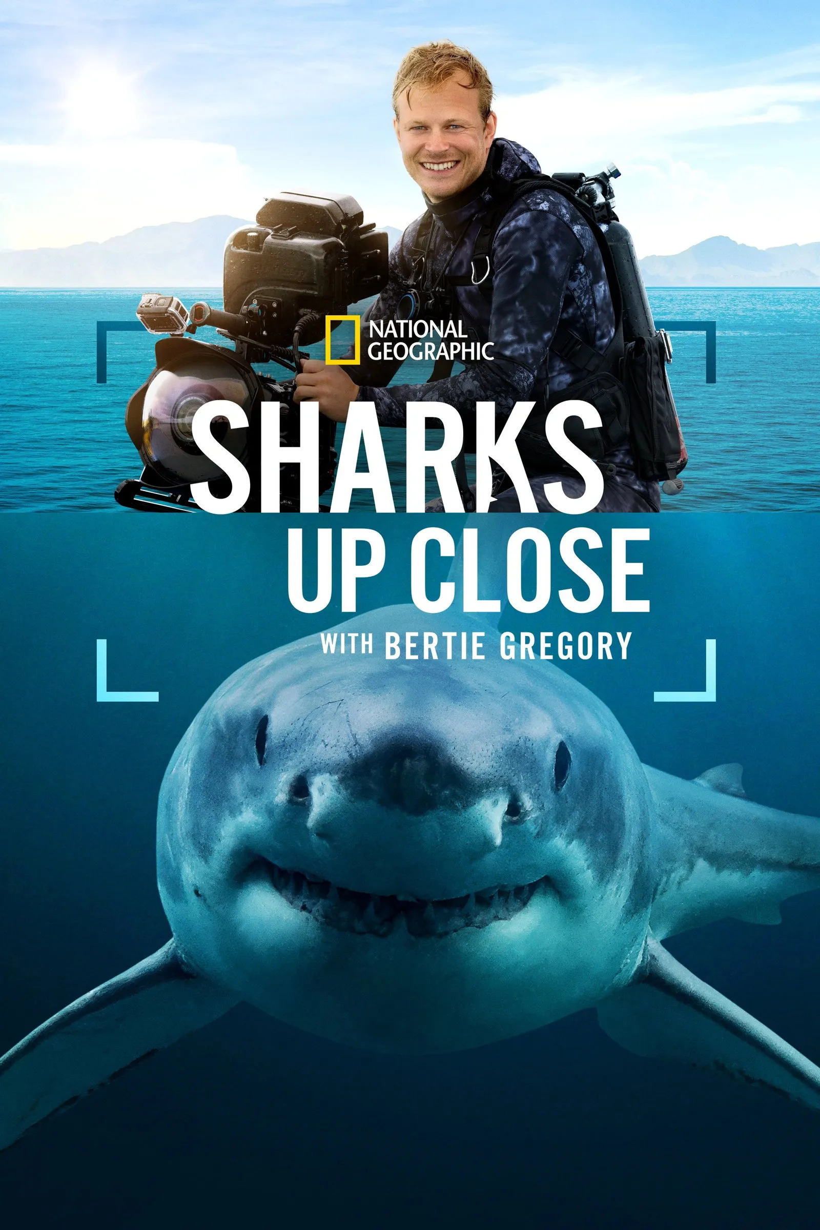 ภาพยนตร์ Sharks Up Close with Bertie Gregory ซับไทย ครบทุกตอน ดูฟรี HD