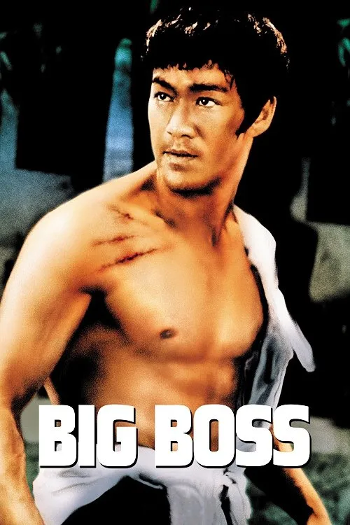 ภาพยนตร์ ไอ้หนุ่มซินตึ๊ง ซับไทย ครบทุกตอน ดูฟรี HD
