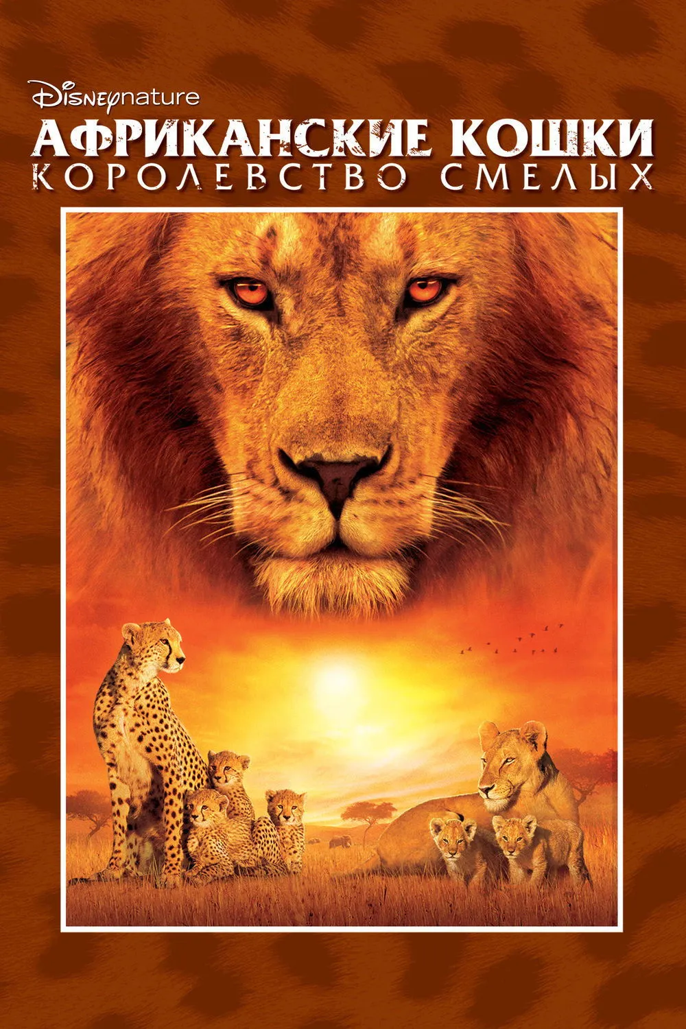 ภาพยนตร์ African Cats ซับไทย ครบทุกตอน ดูฟรี HD