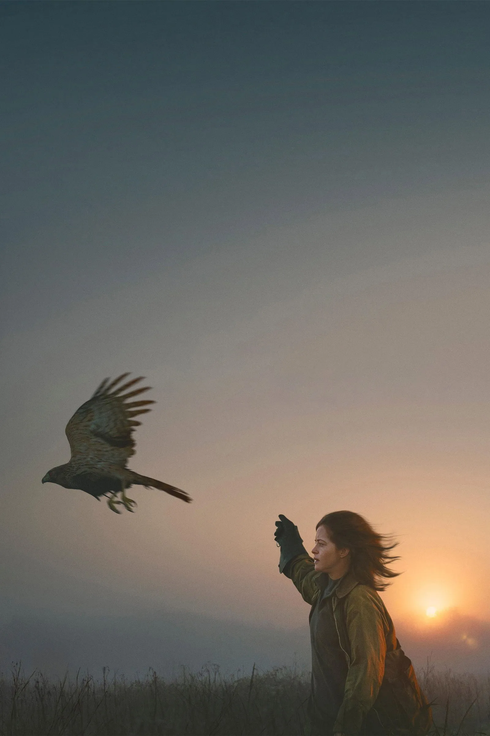 ภาพยนตร์ H Is for Hawk ซับไทย ครบทุกตอน ดูฟรี HD