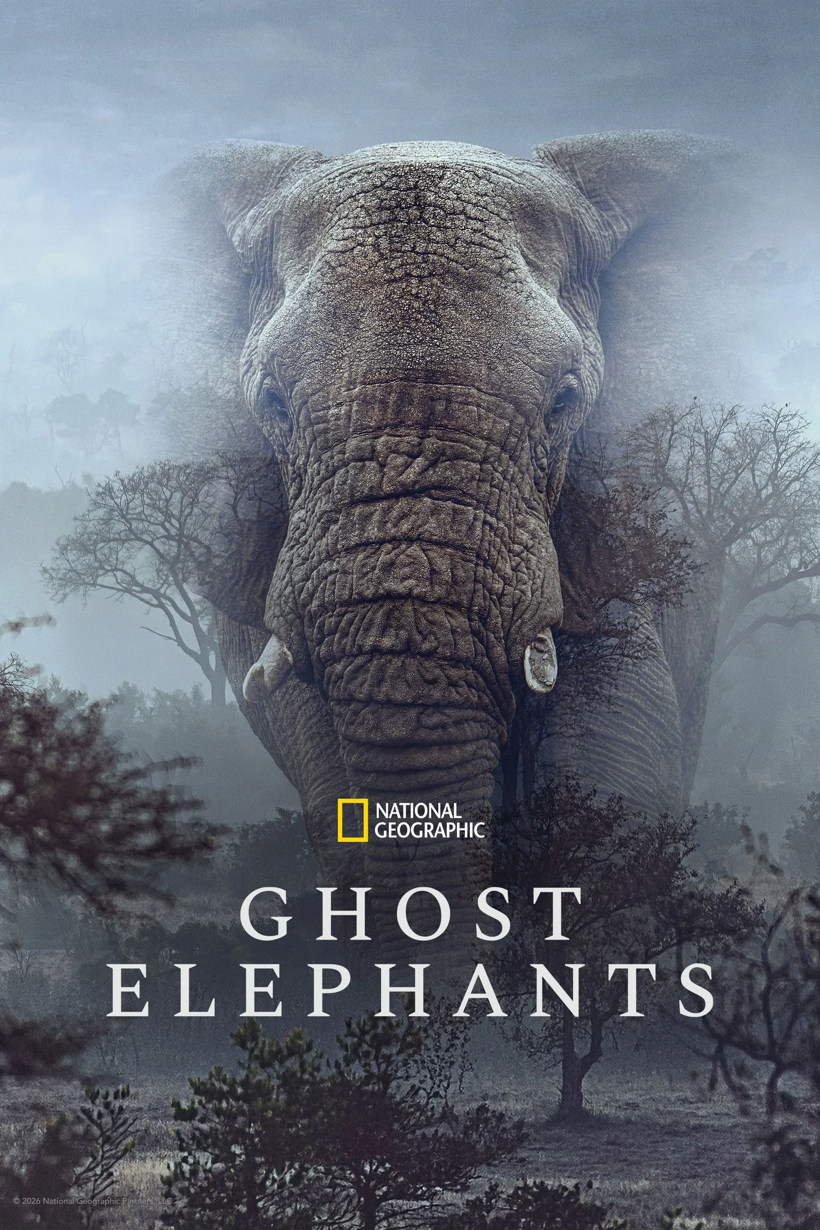 ภาพยนตร์ Ghost Elephants ซับไทย ครบทุกตอน ดูฟรี HD