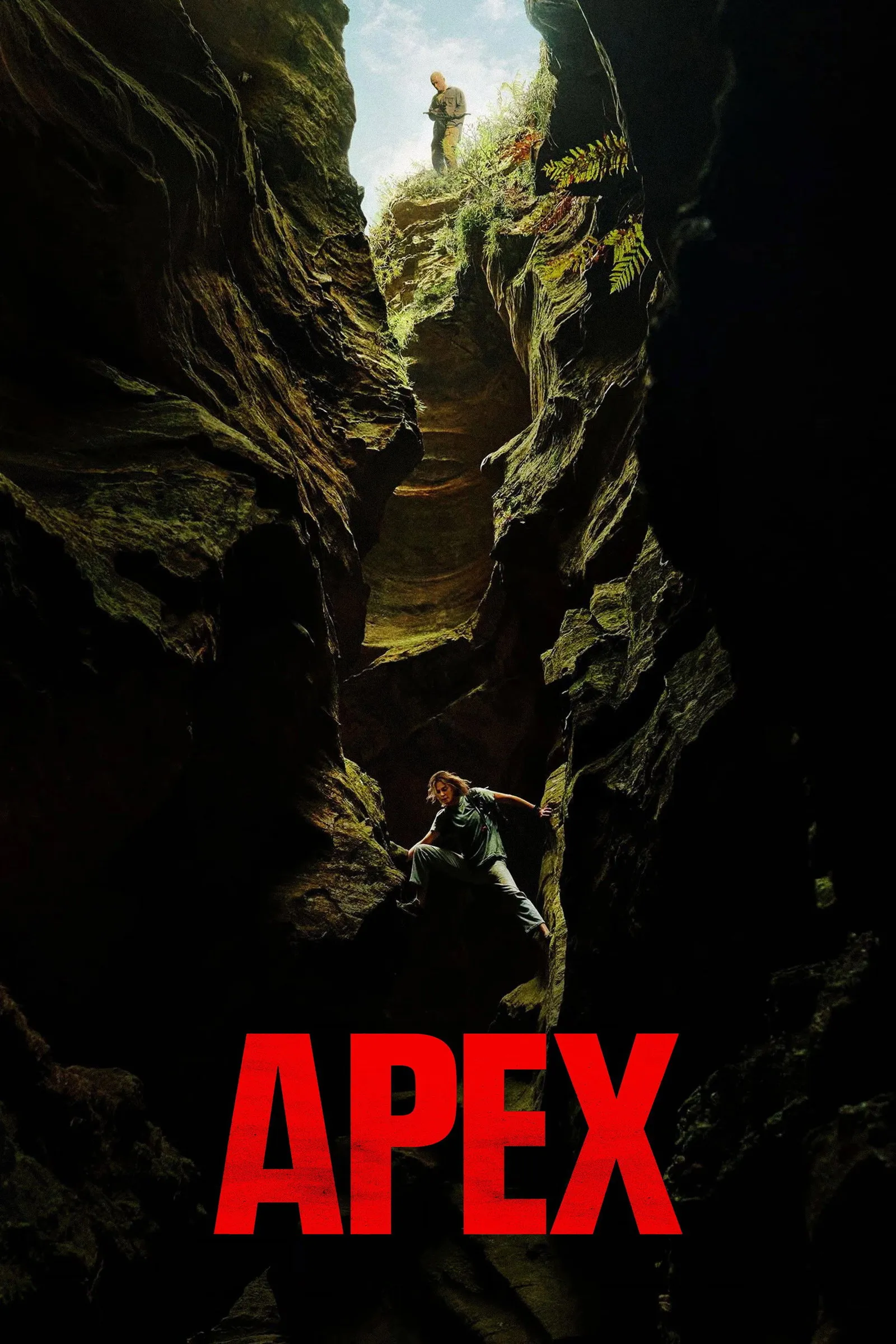ภาพยนตร์ ห่วงโซ่สังหาร ซับไทย ครบทุกตอน ดูฟรี HD
