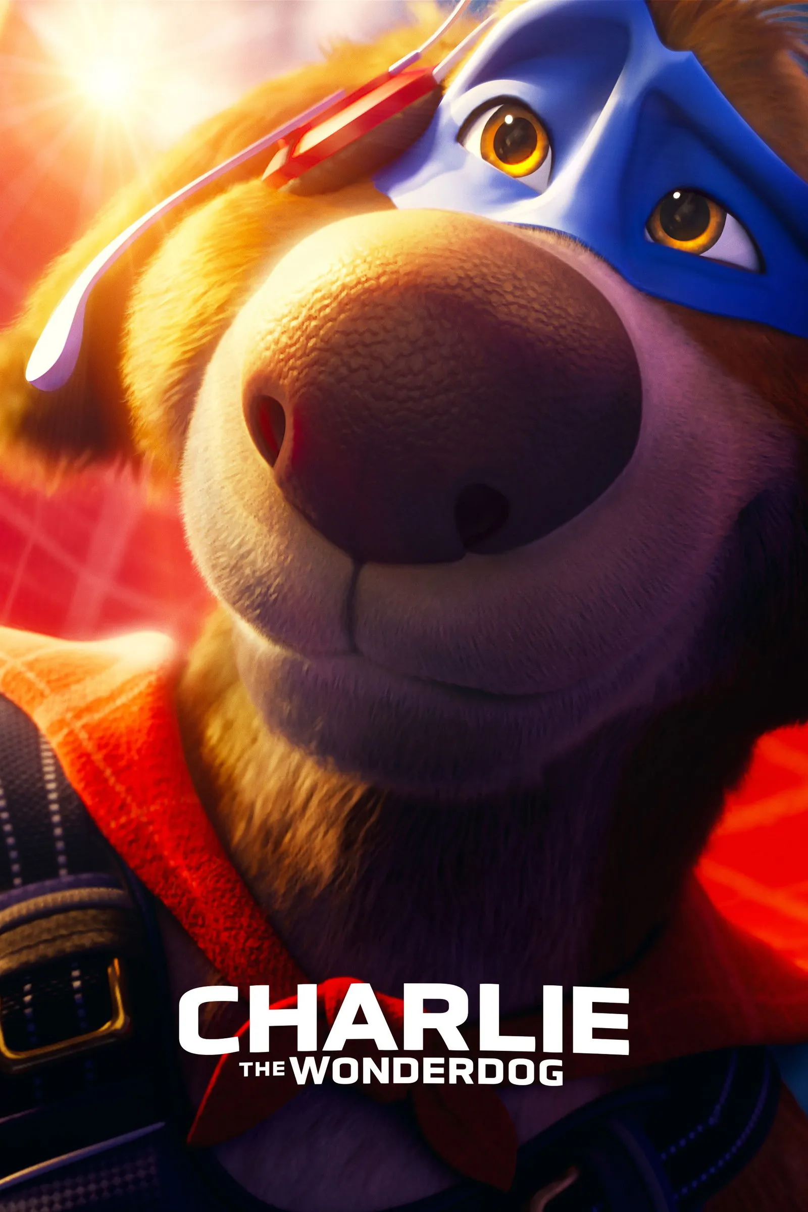 ภาพยนตร์ Charlie the Wonderdog ซับไทย ครบทุกตอน ดูฟรี HD