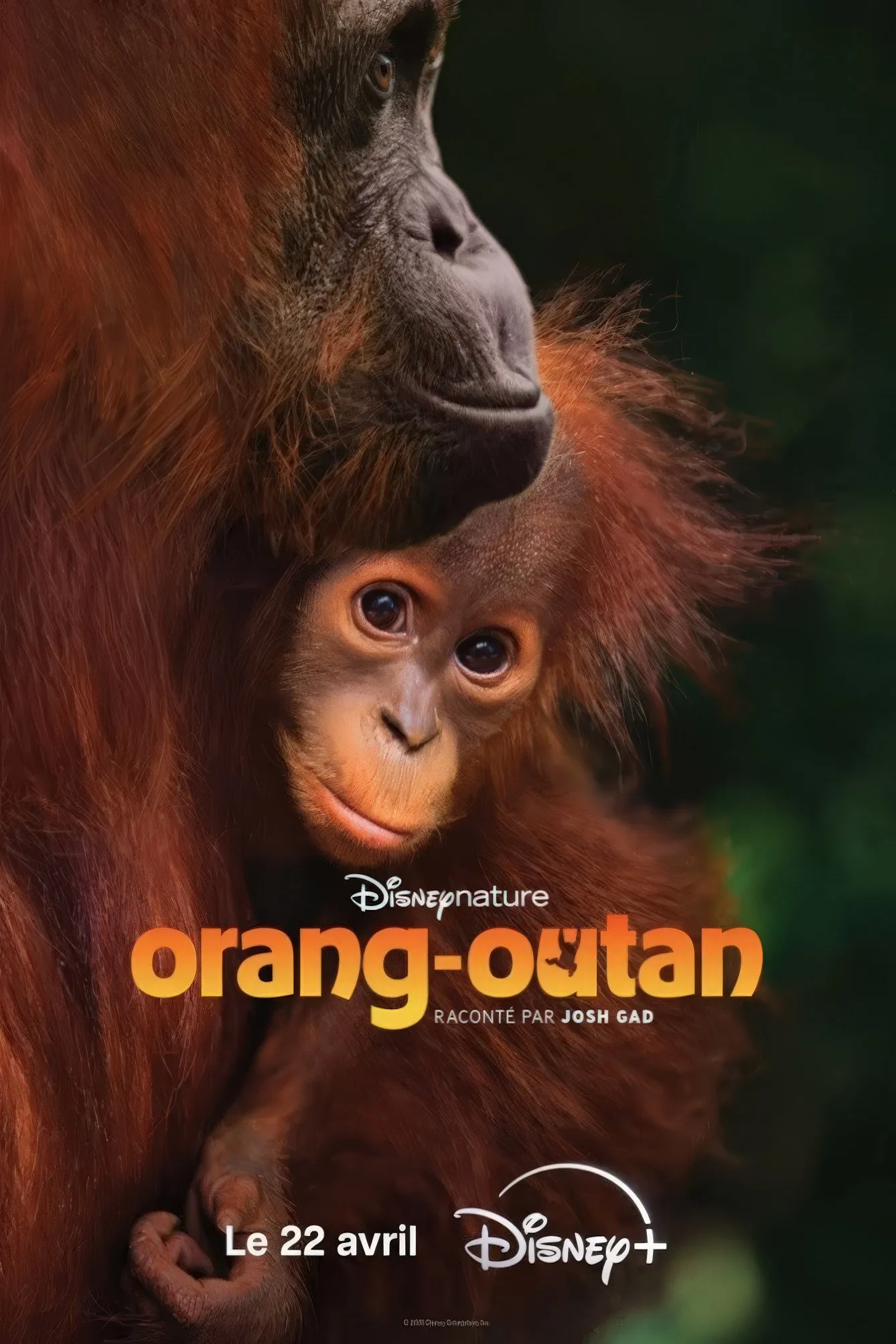 ภาพยนตร์ Orangutan ซับไทย ครบทุกตอน คมชัด HD