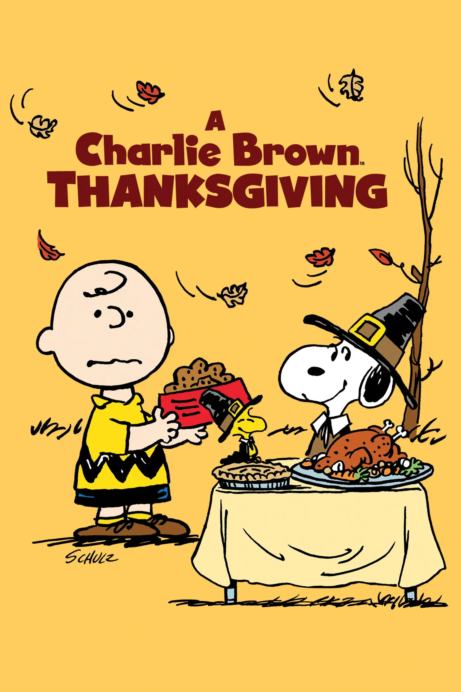 ภาพยนตร์ A Charlie Brown Thanksgiving พากย์ไทย ครบทุกตอน คมชัด HD