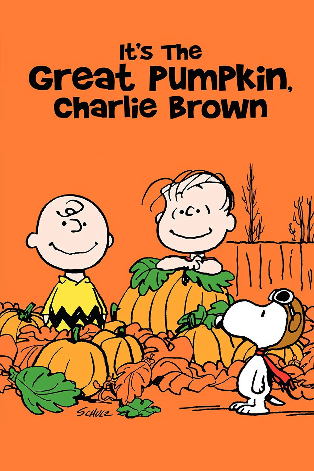 ภาพยนตร์ It's the Great Pumpkin, Charlie Brown ซับไทย ครบทุกตอน ดูฟรี HD