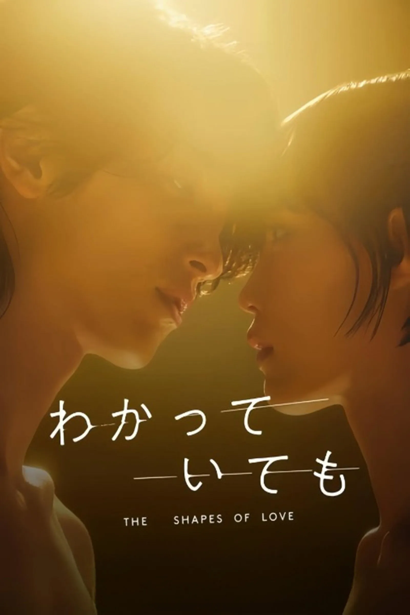 อย่างไรก็ตาม... เส้นสายลายรัก