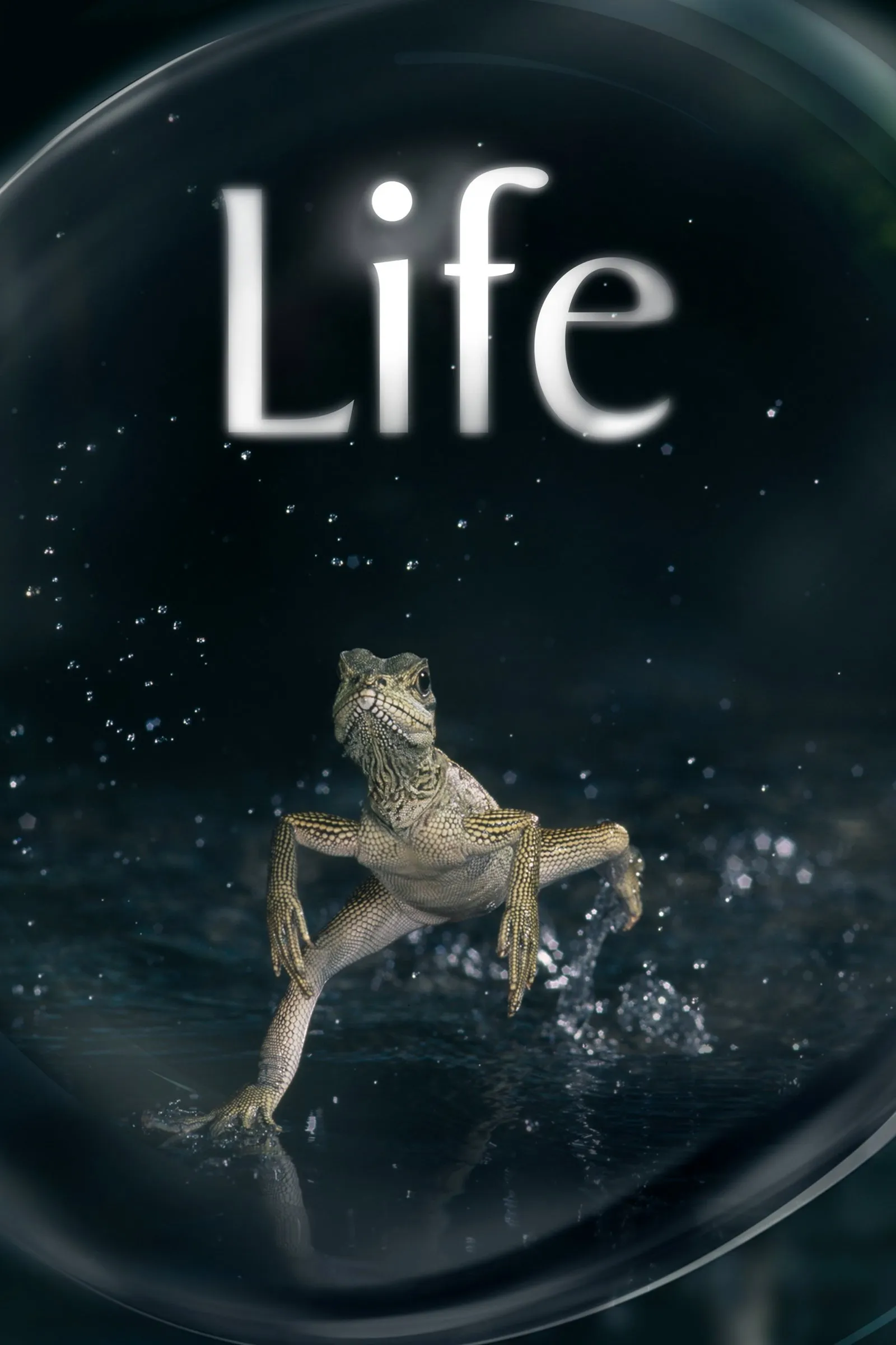Life อัศจรรย์แห่งชีวิต
